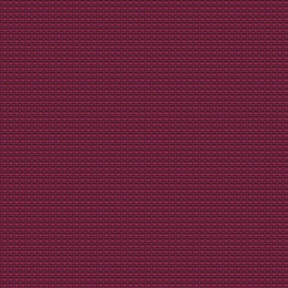 YN211_WEB