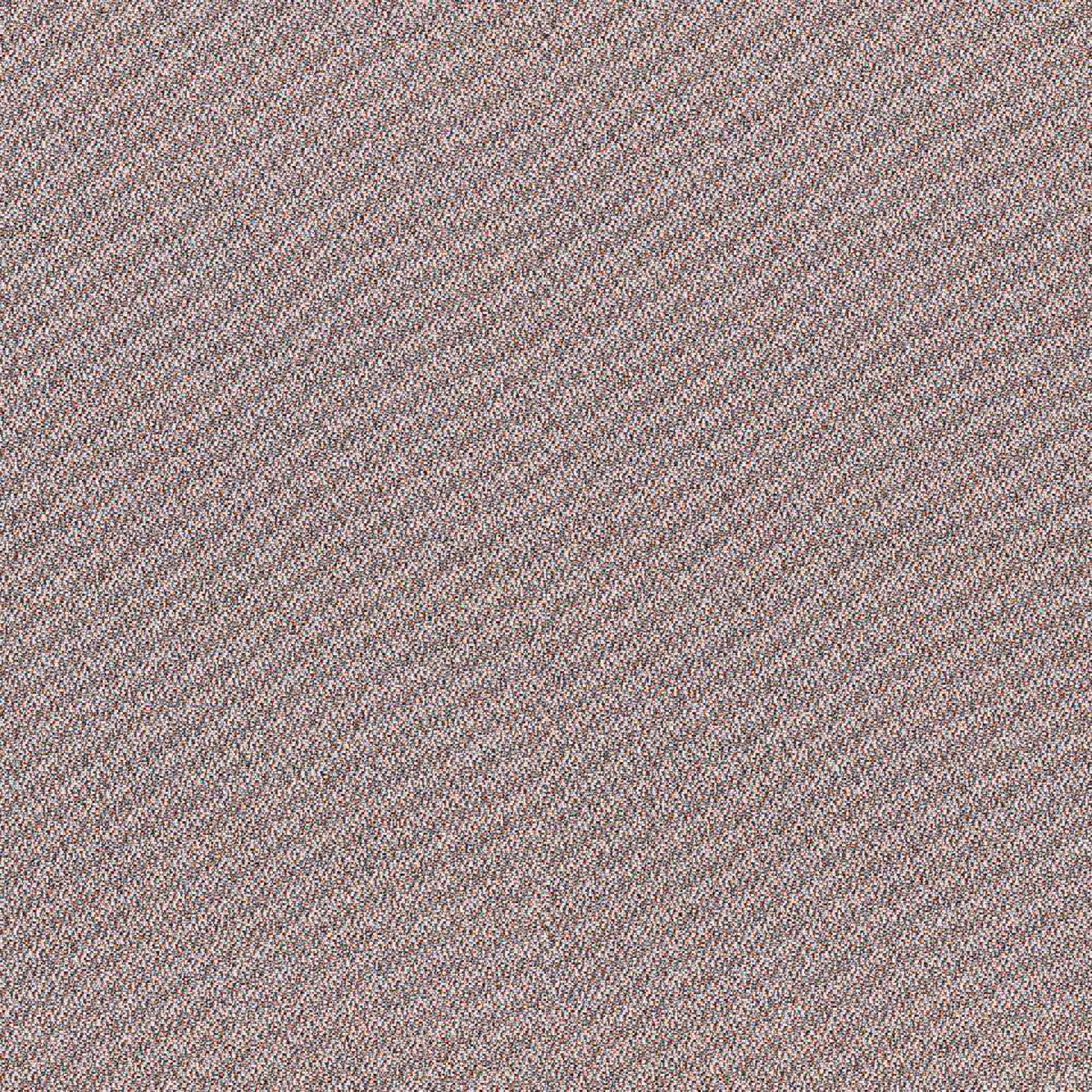 CSE23_WEB