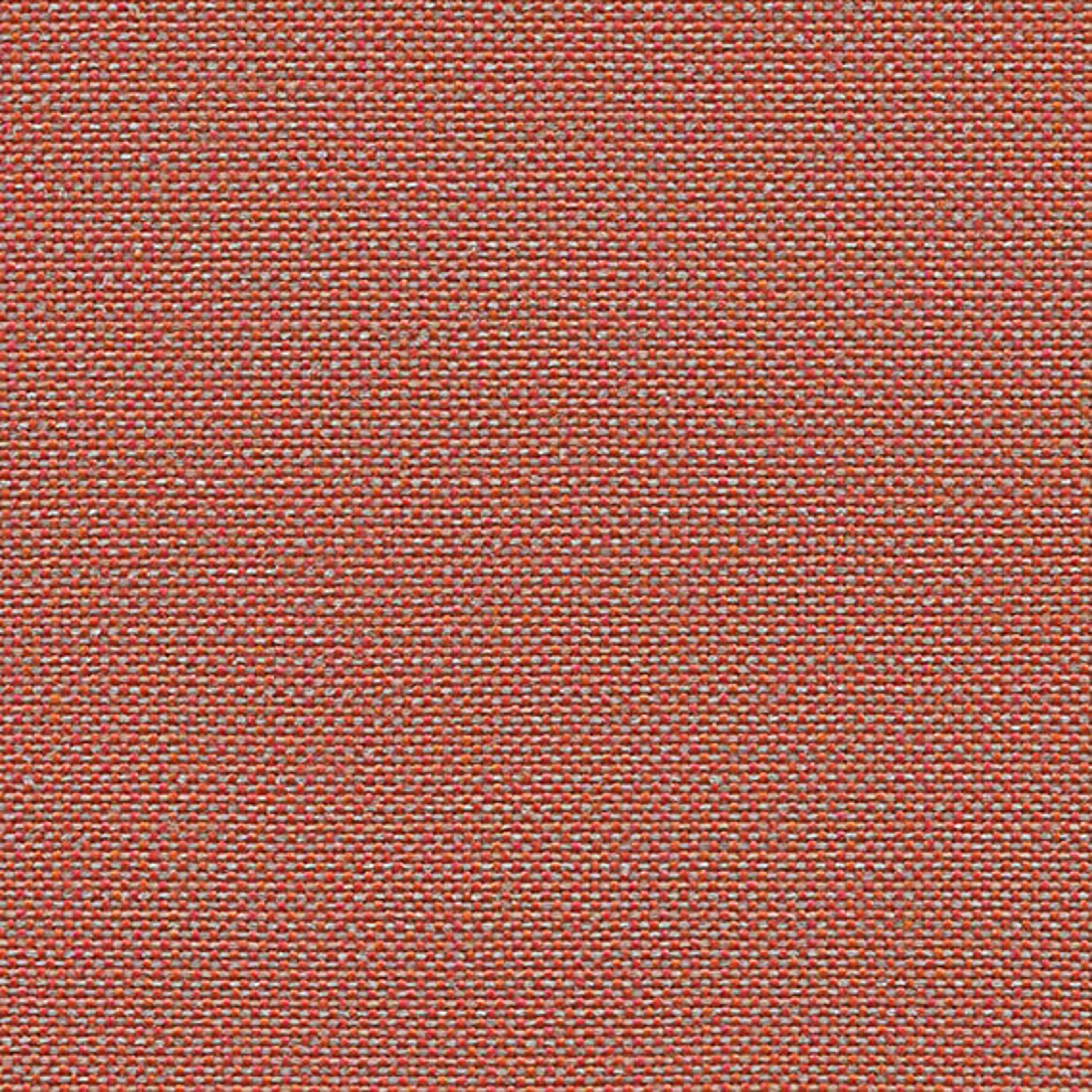 CLW07_WEB