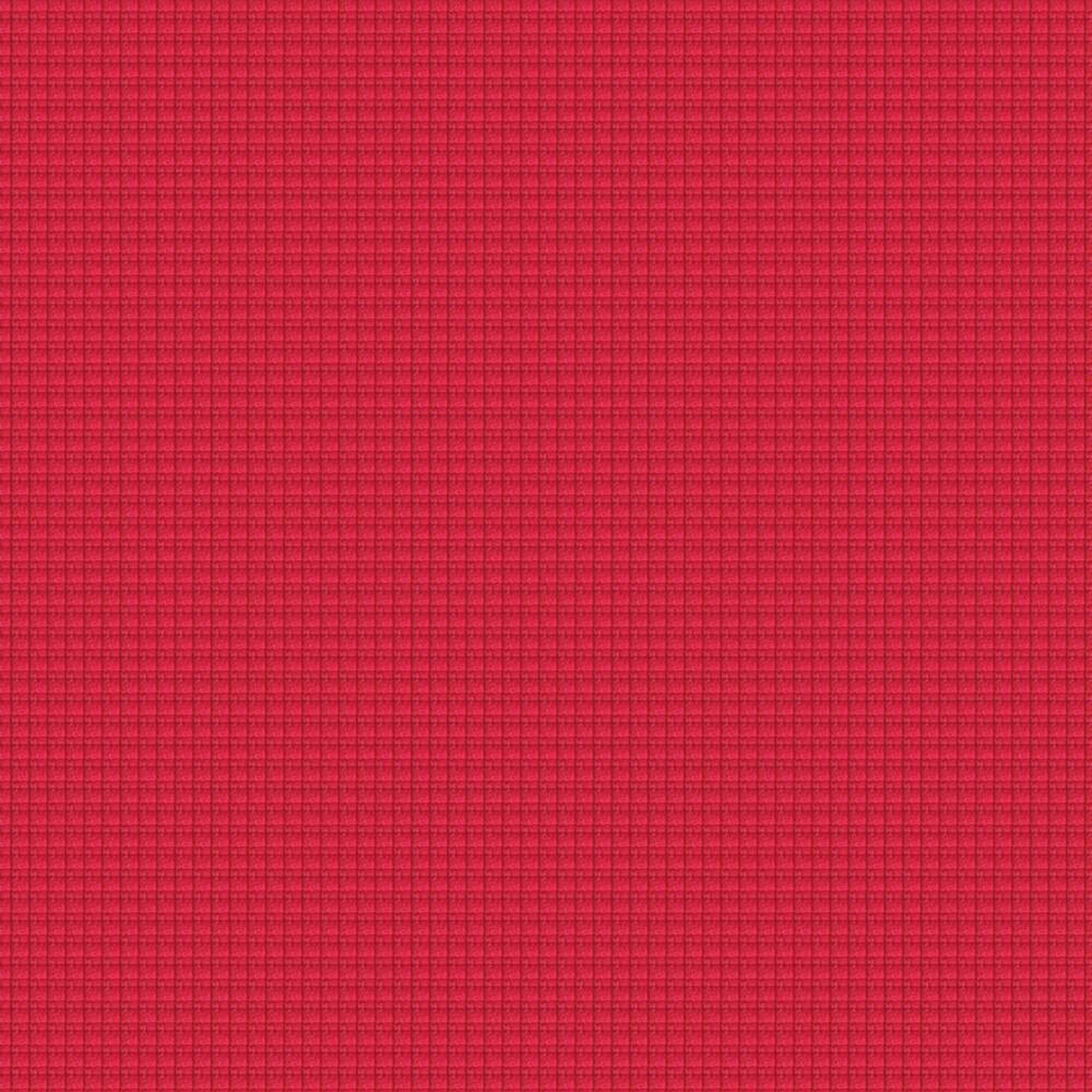 YW203_WEB