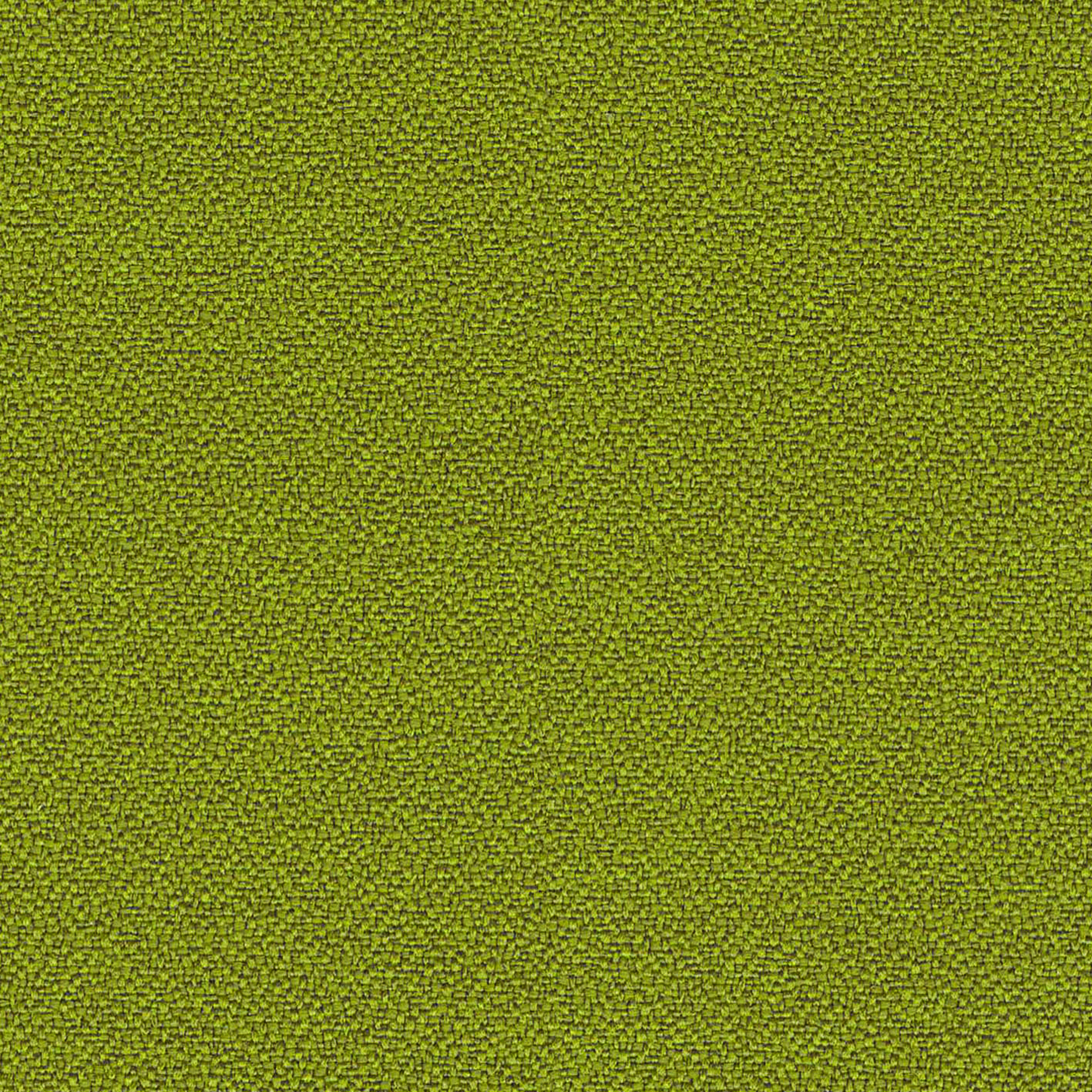 YS077_WEB