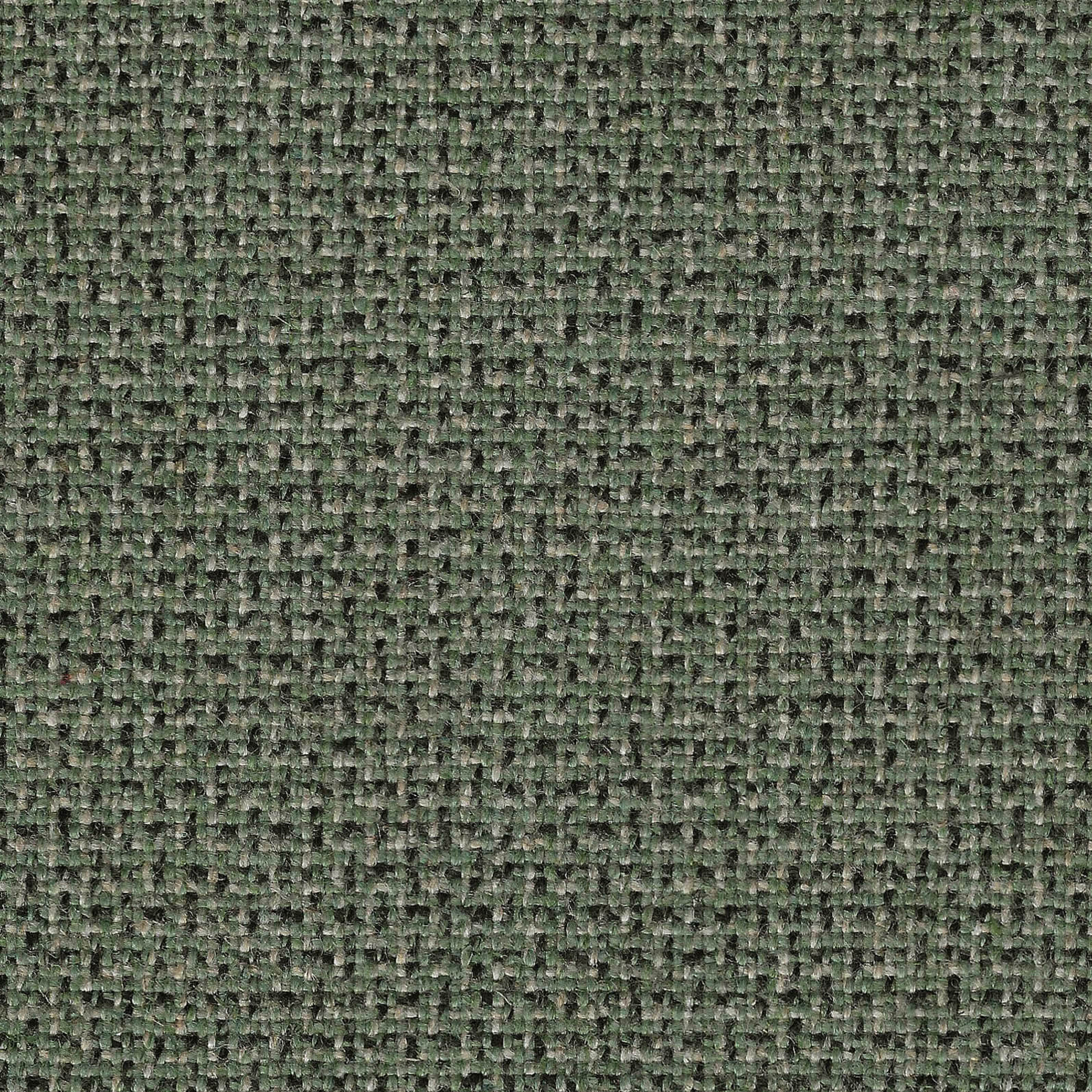 MLT11_WEB