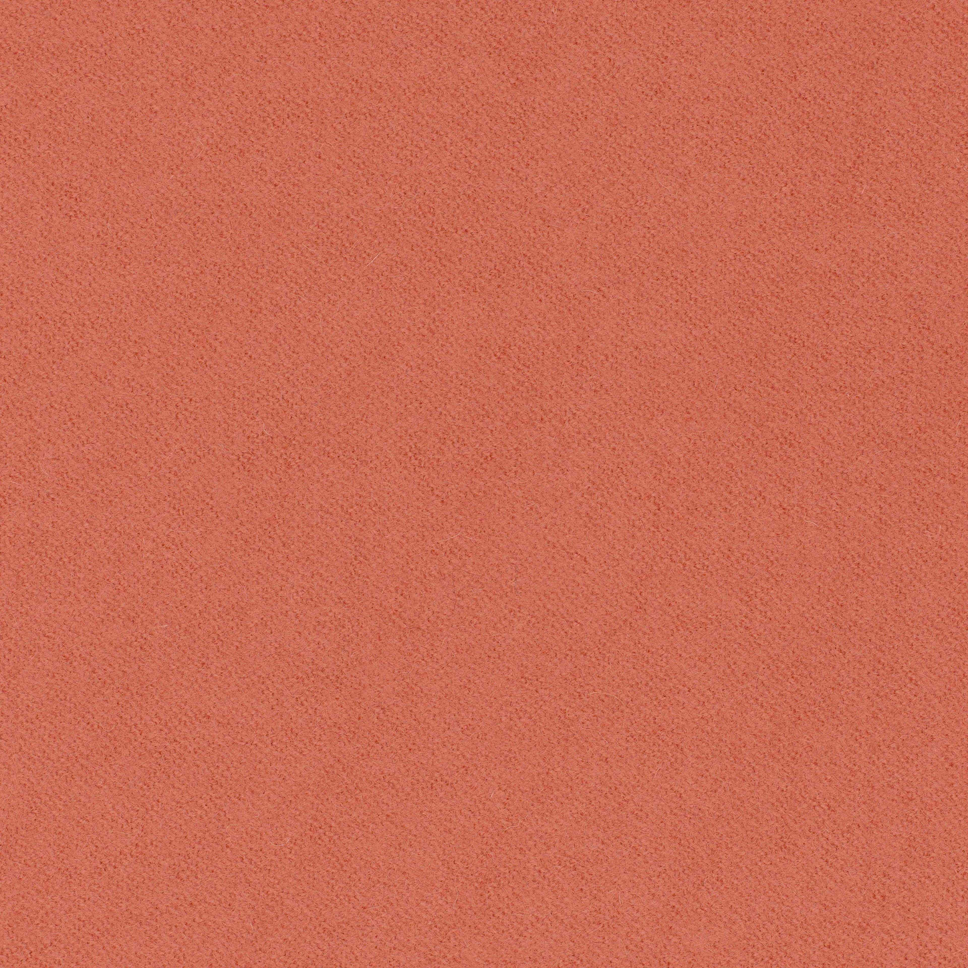 LDS75_WEB LDS75_WEB