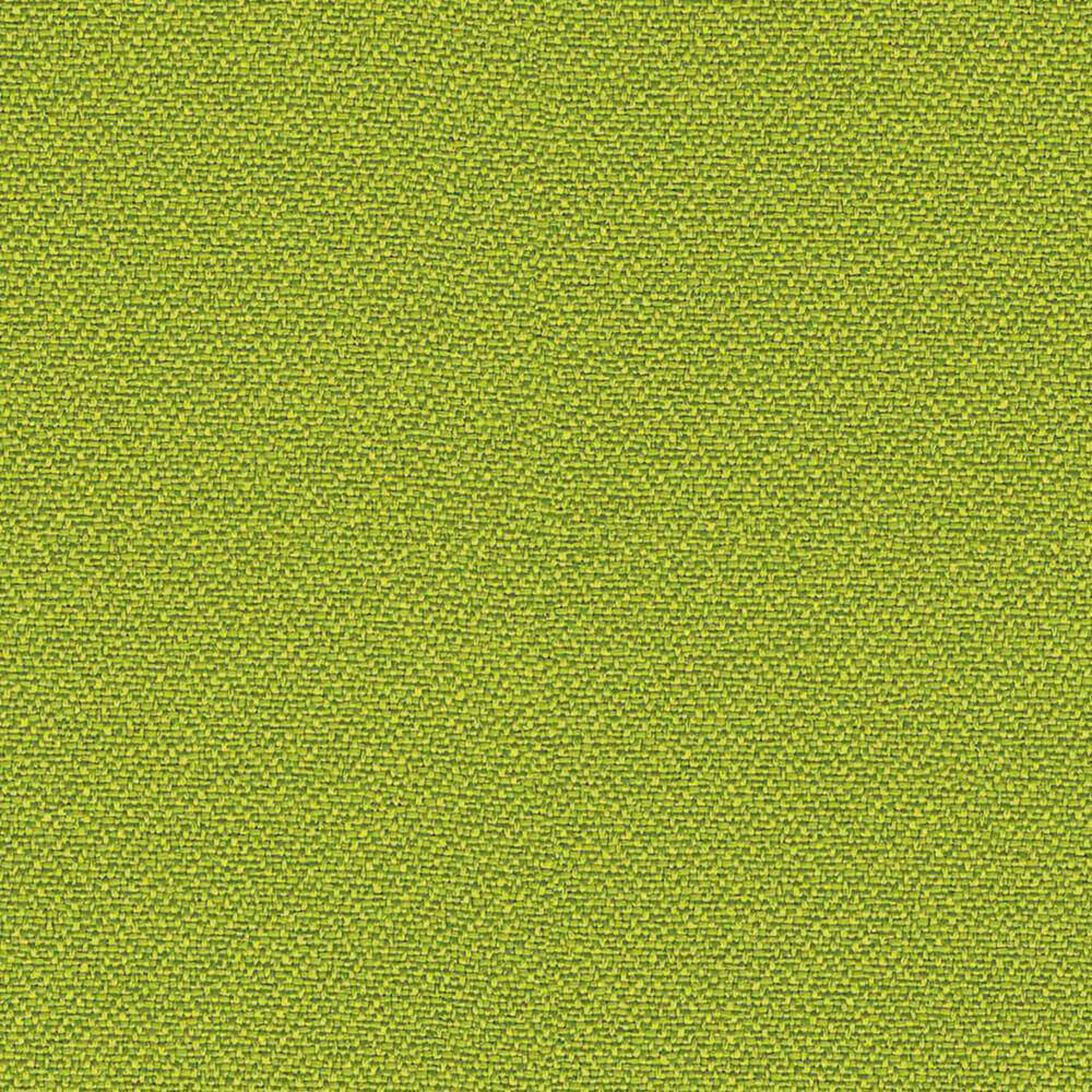 LC419_WEB LC419_WEB