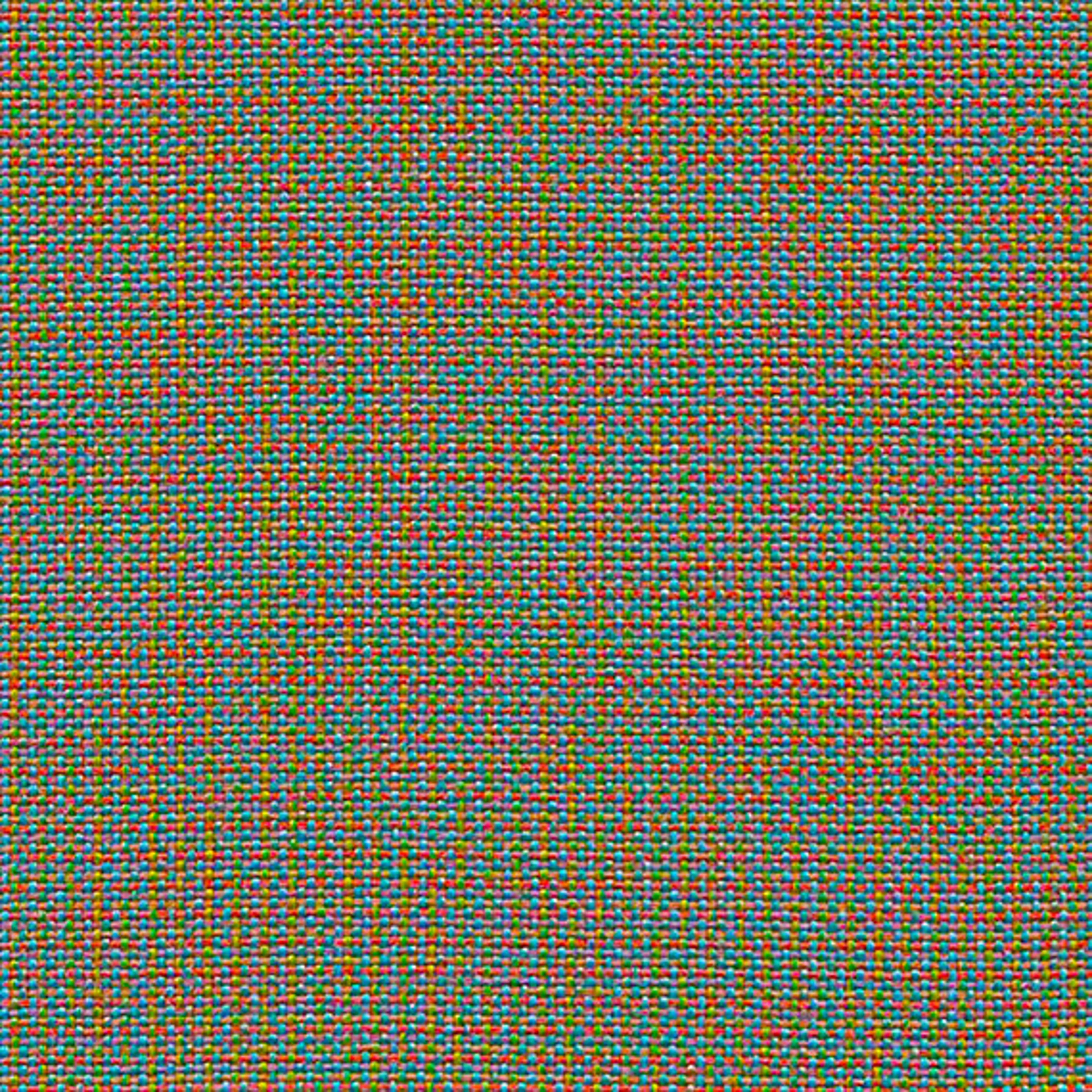 CLW17_WEB