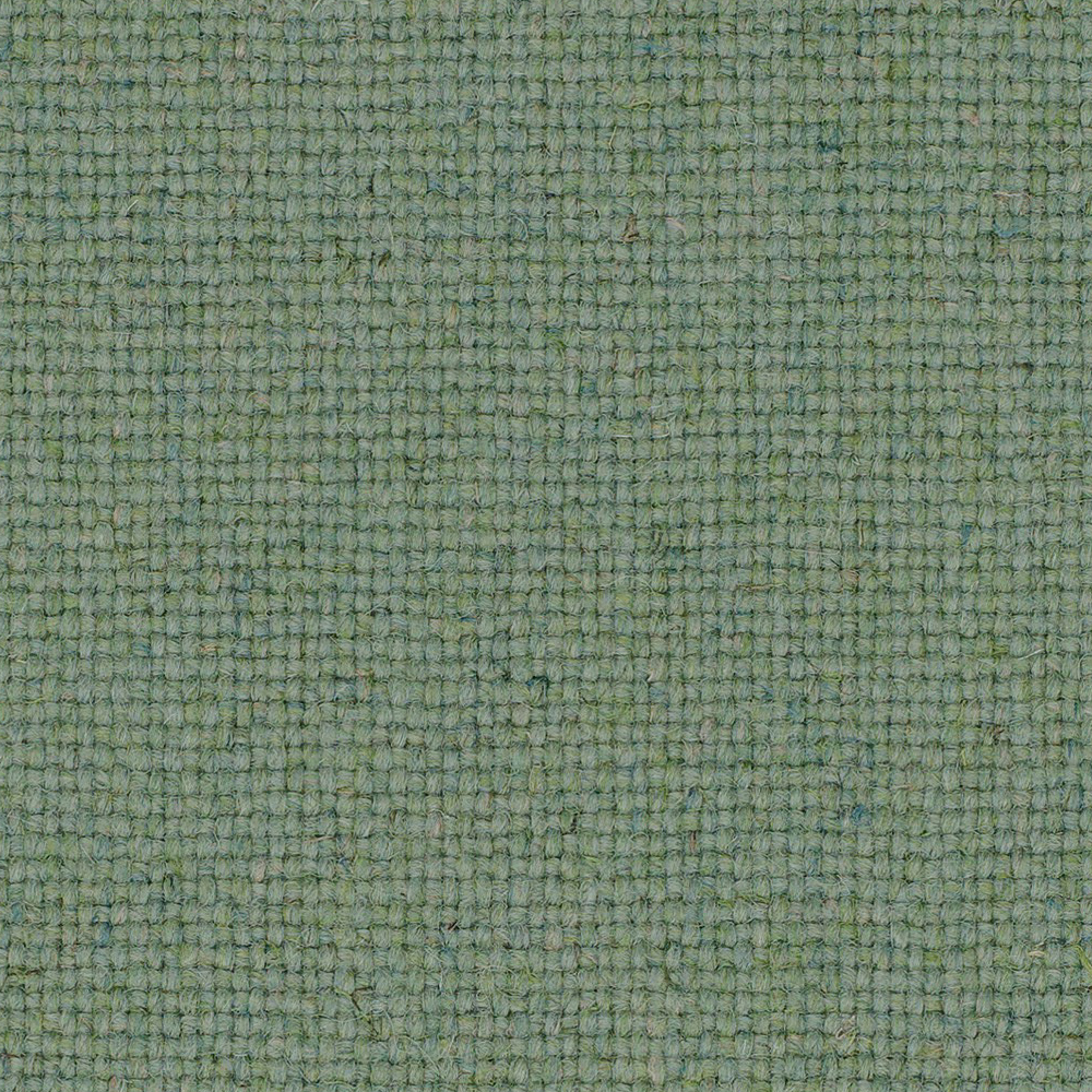 MLF52_WEB