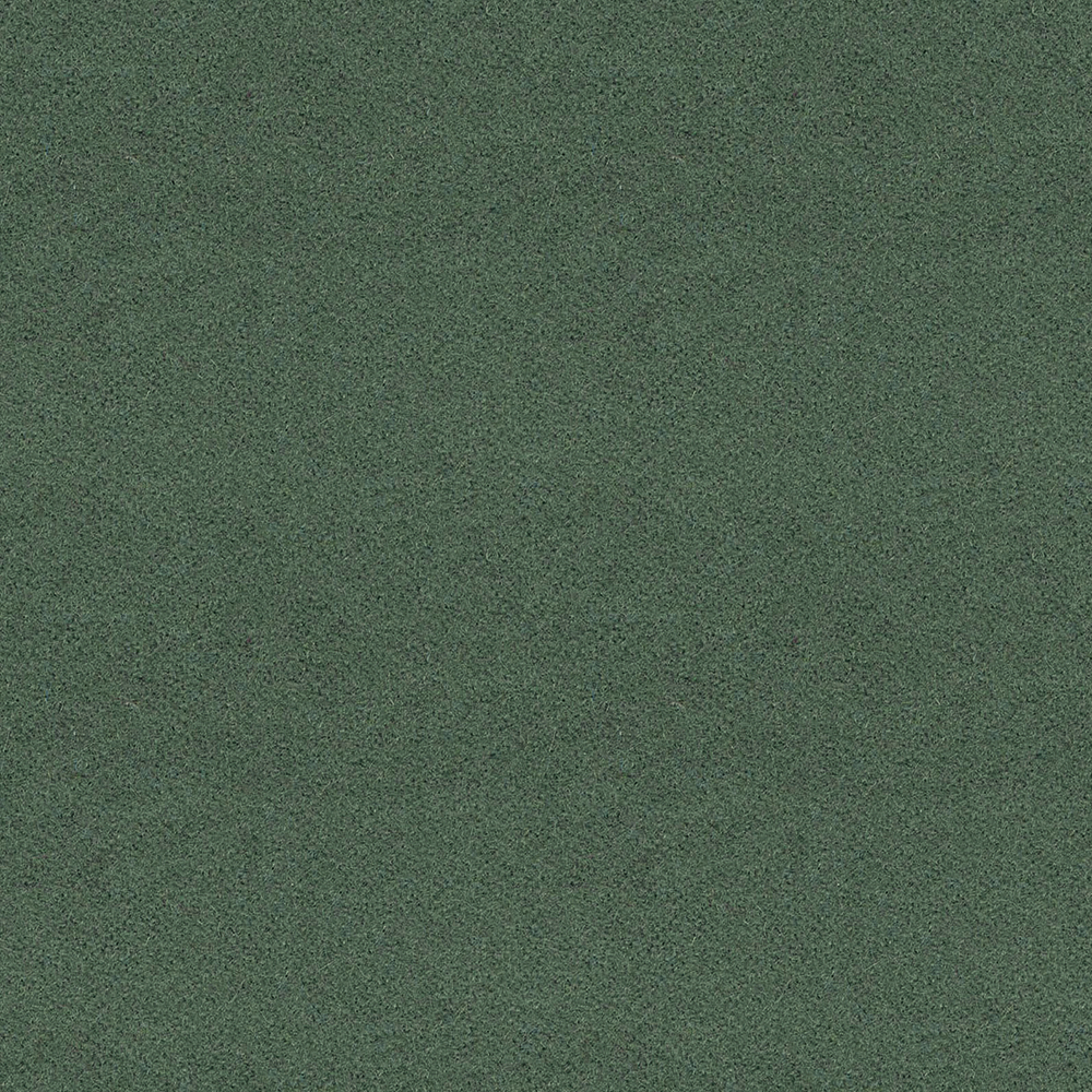 LDS49_WEB