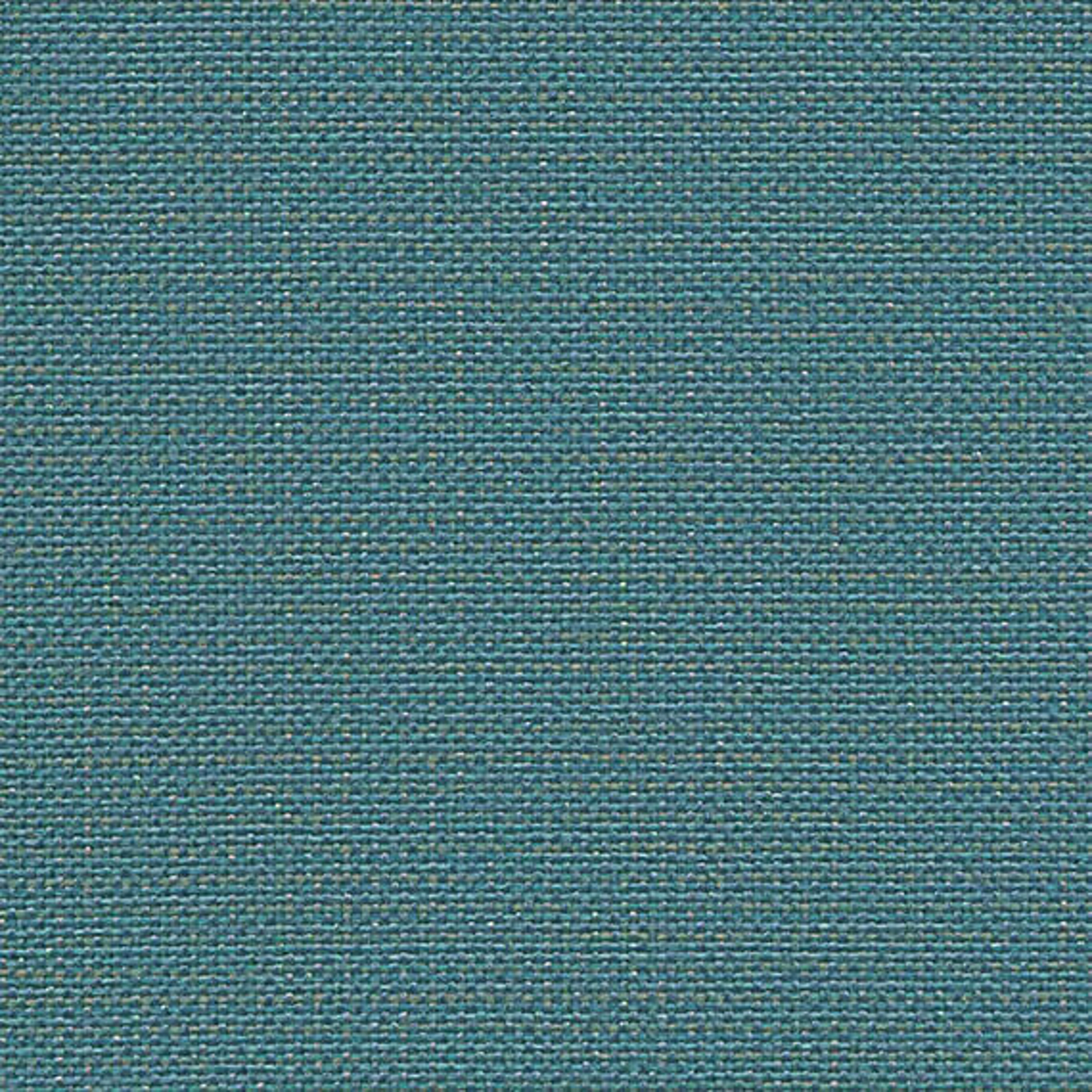 CLW13_WEB