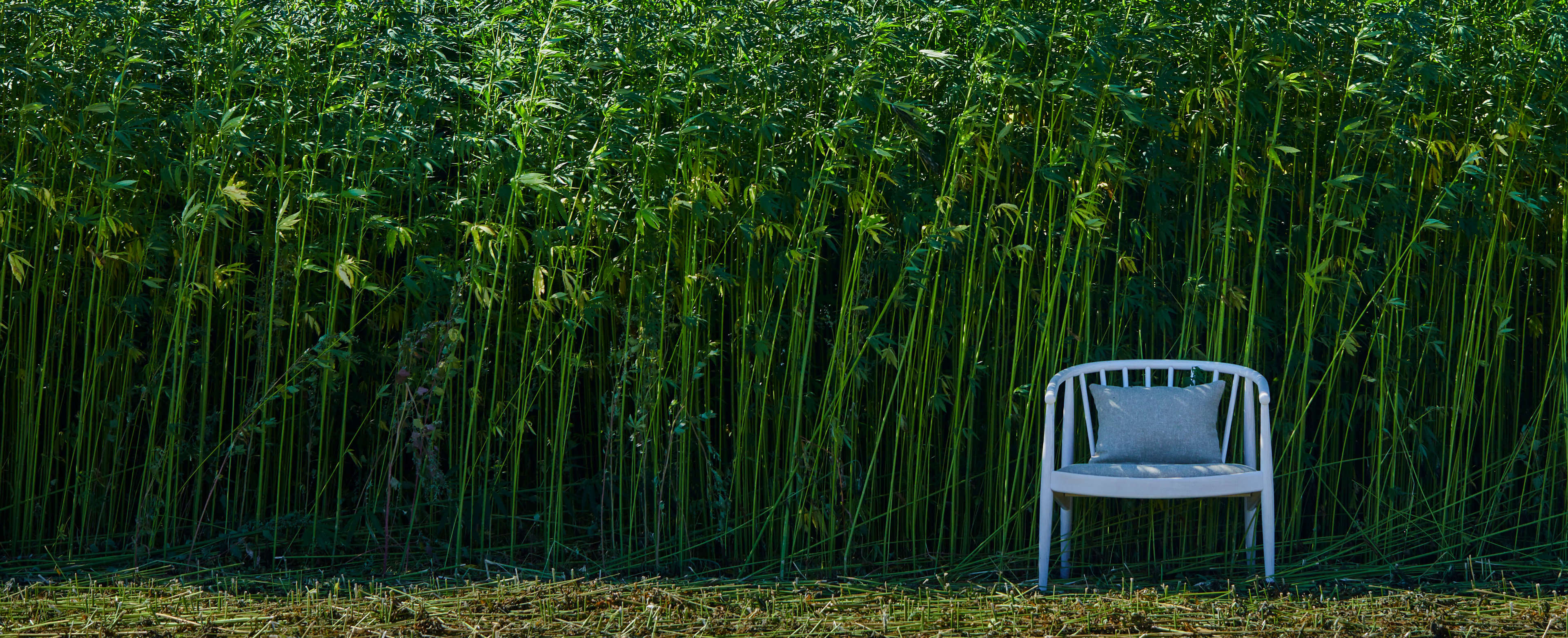 Hemp Chair Hero Hemp Chair Hero