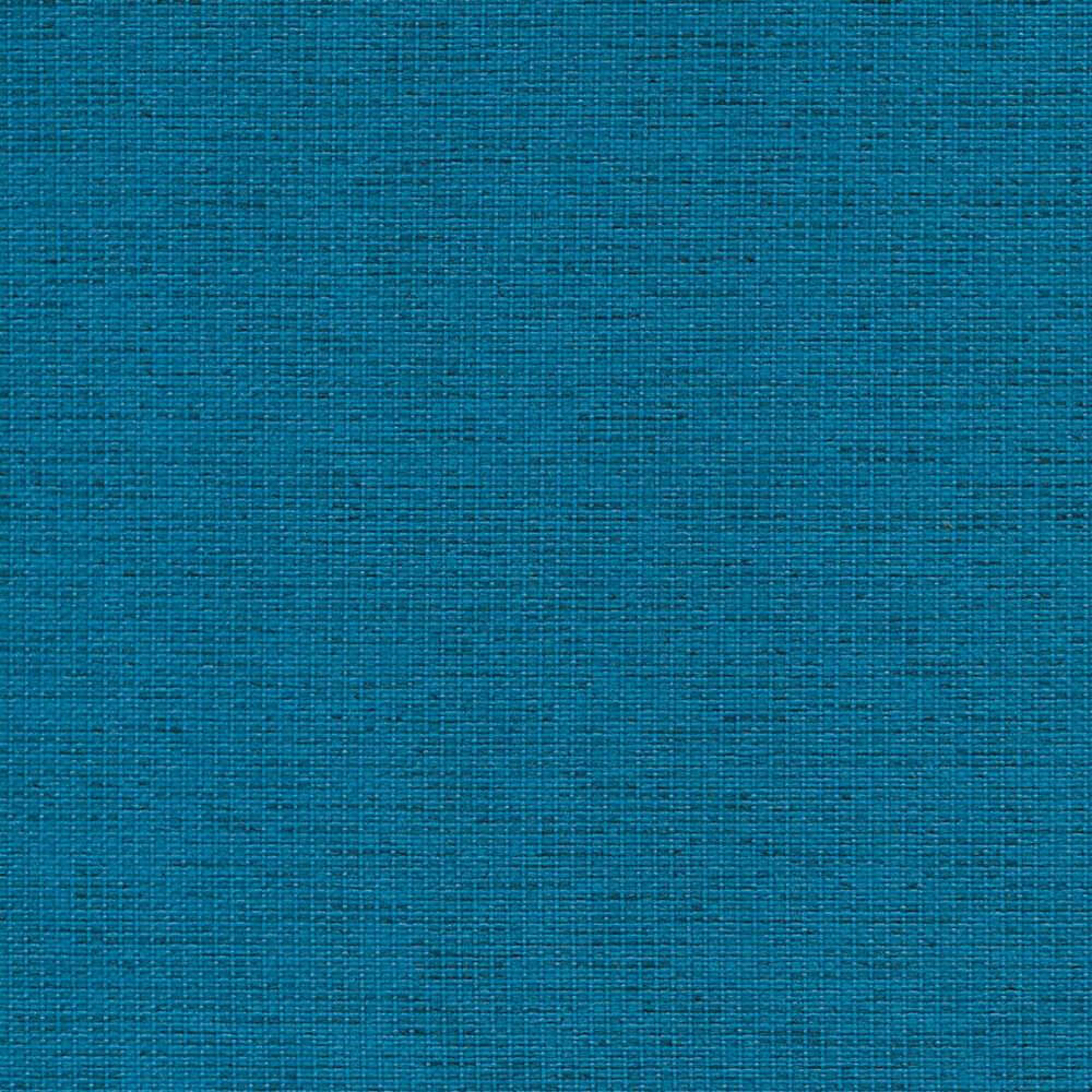 CPC06_WEB