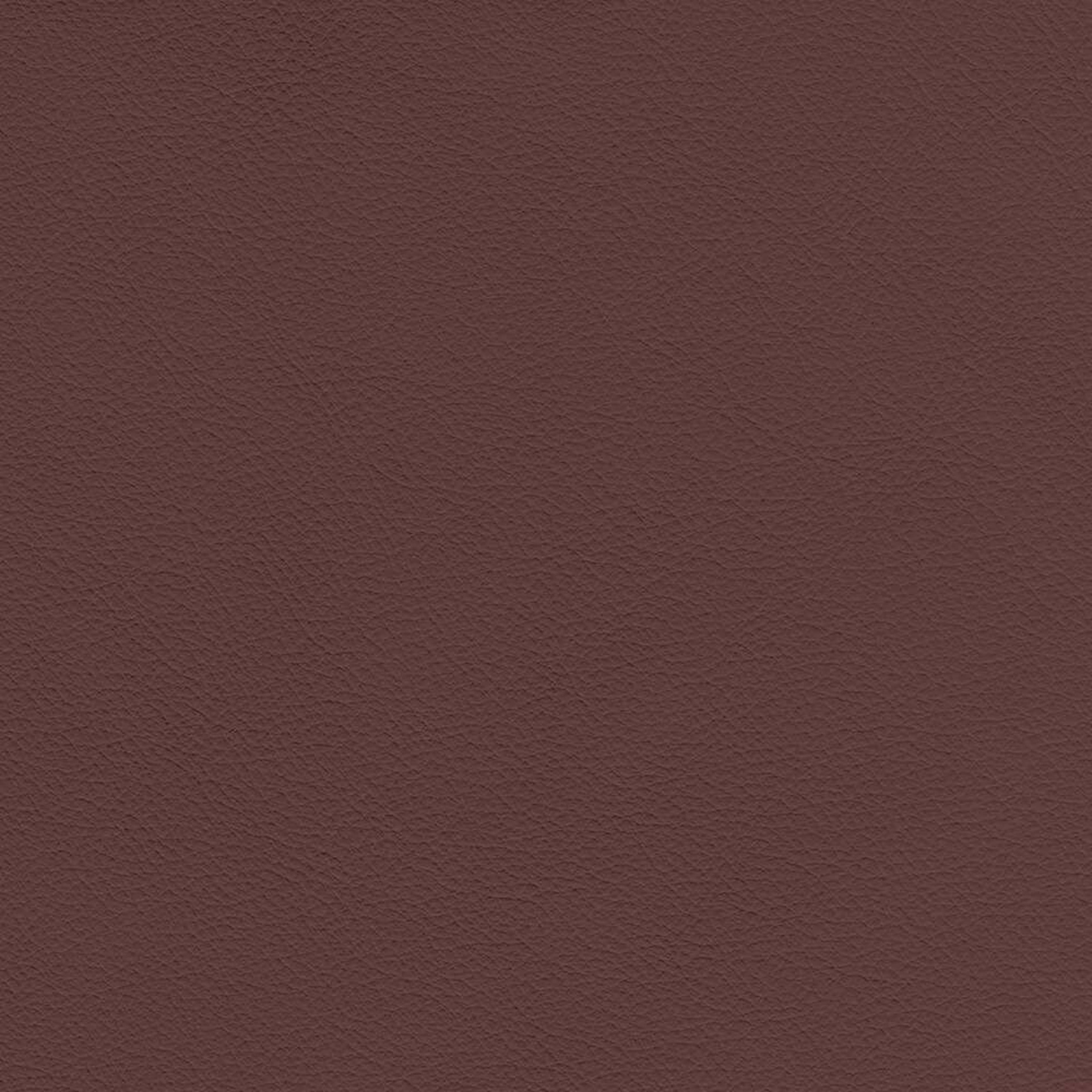 VIN38_WEB VIN38_WEB