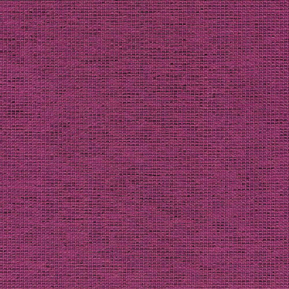 CPC01_WEB