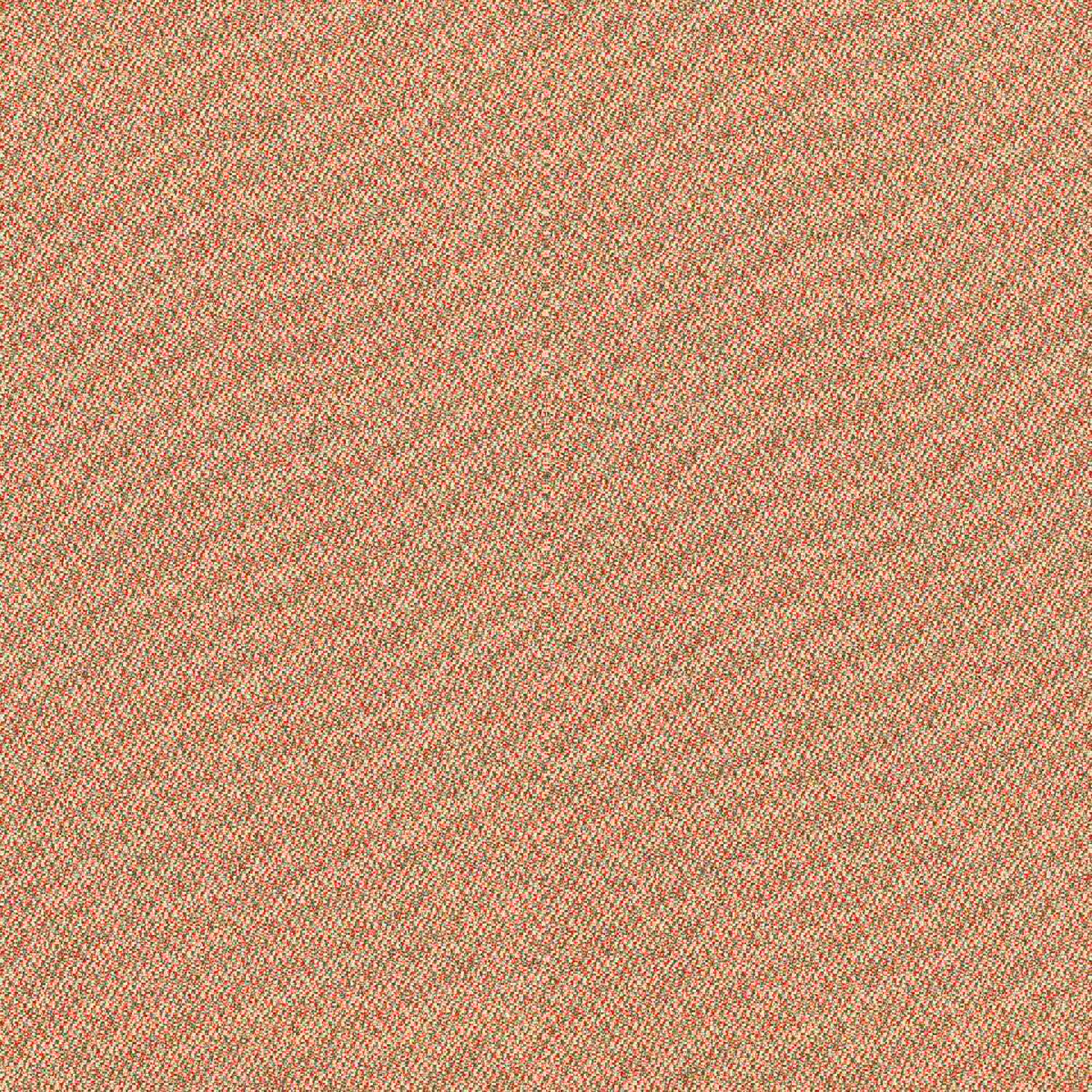 CSE25_WEB