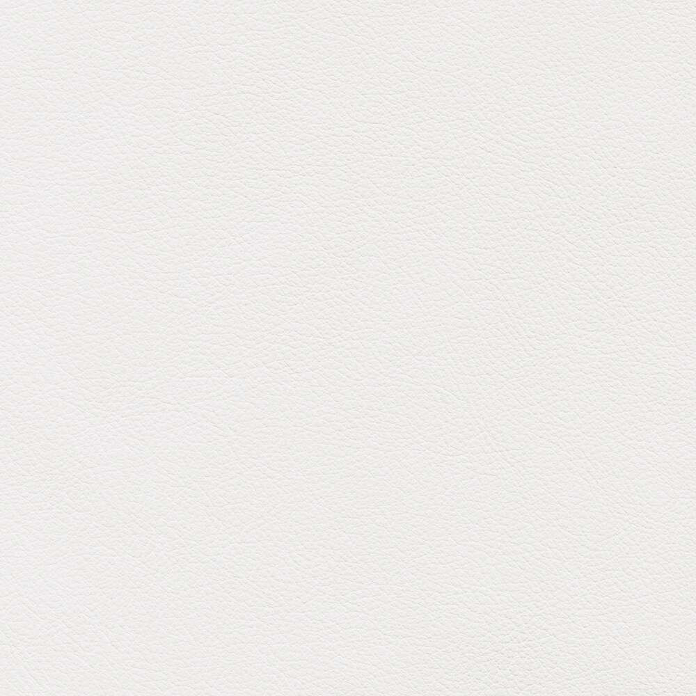 VIN50_WEB