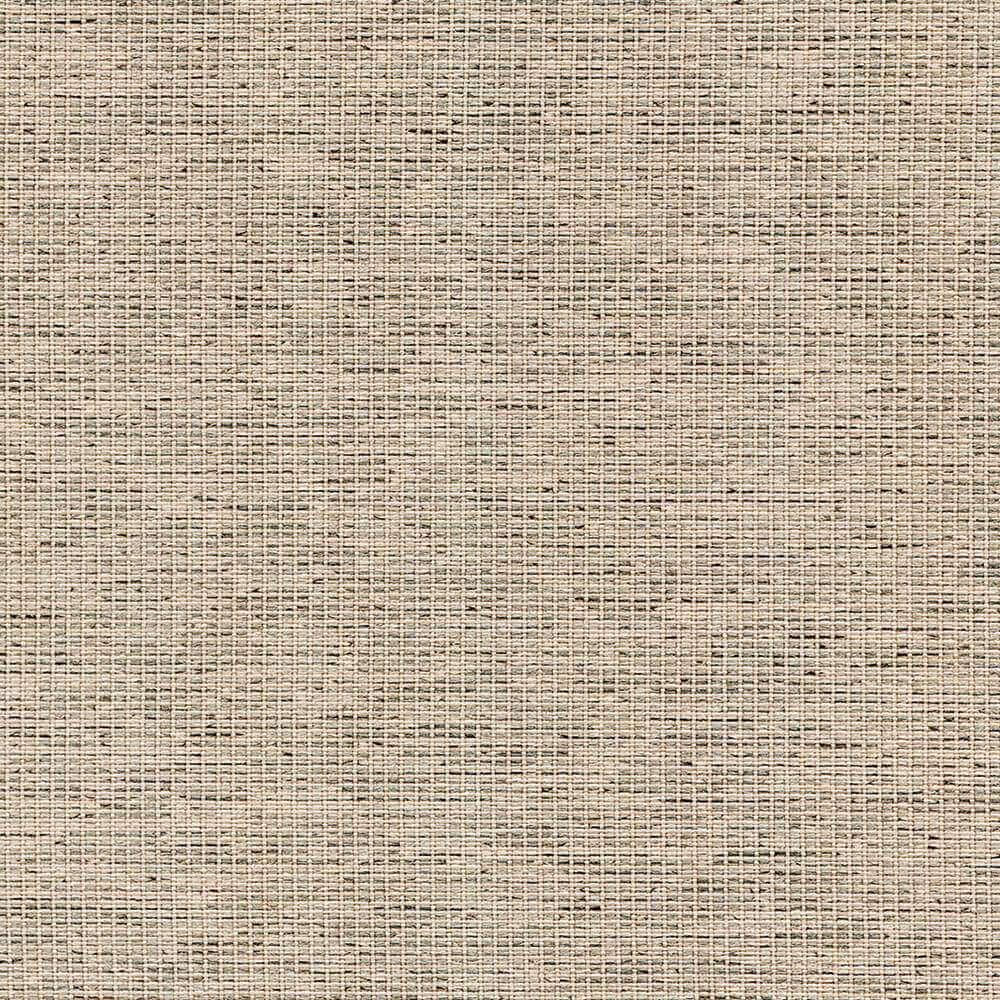 CPC21_WEB