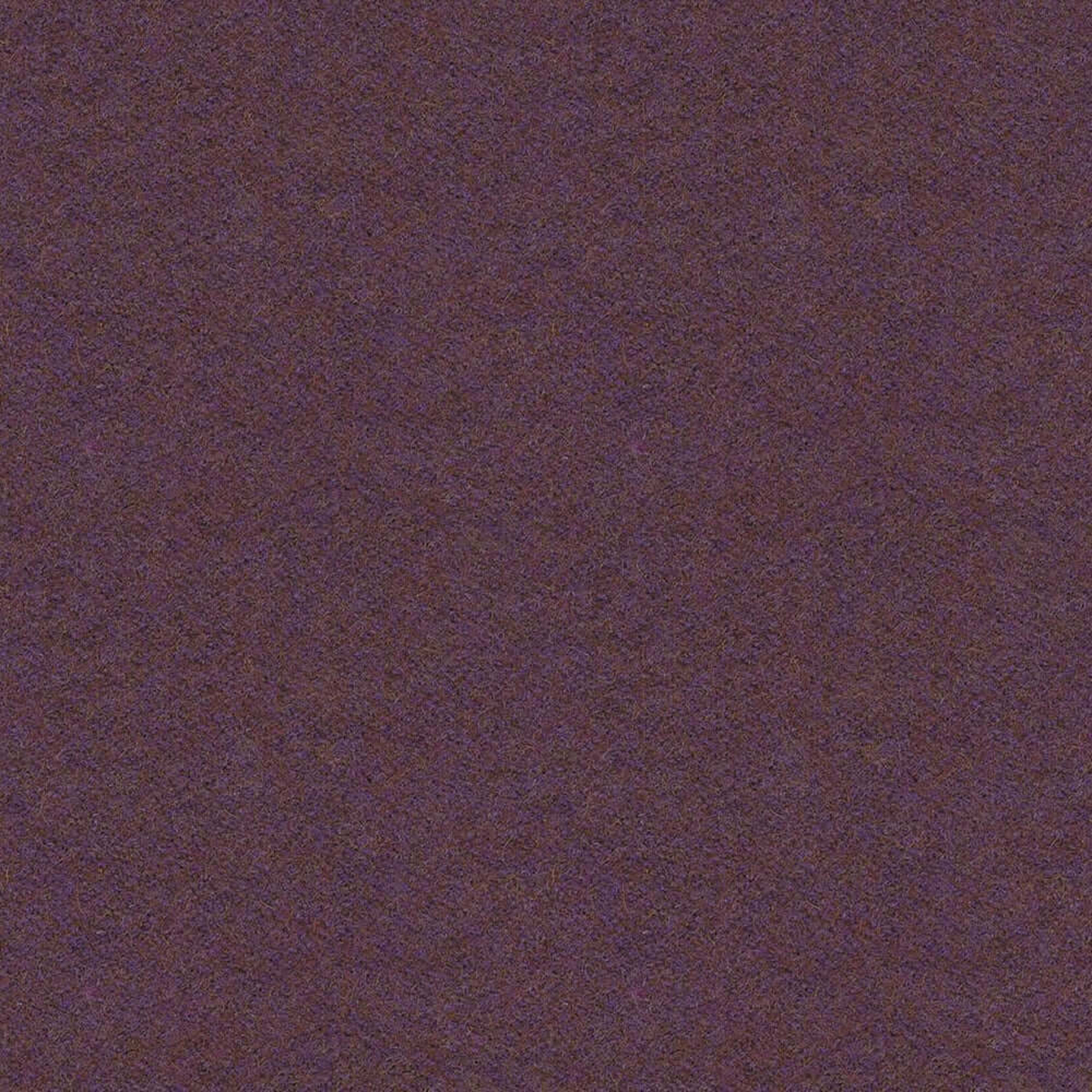 LDS70_WEB