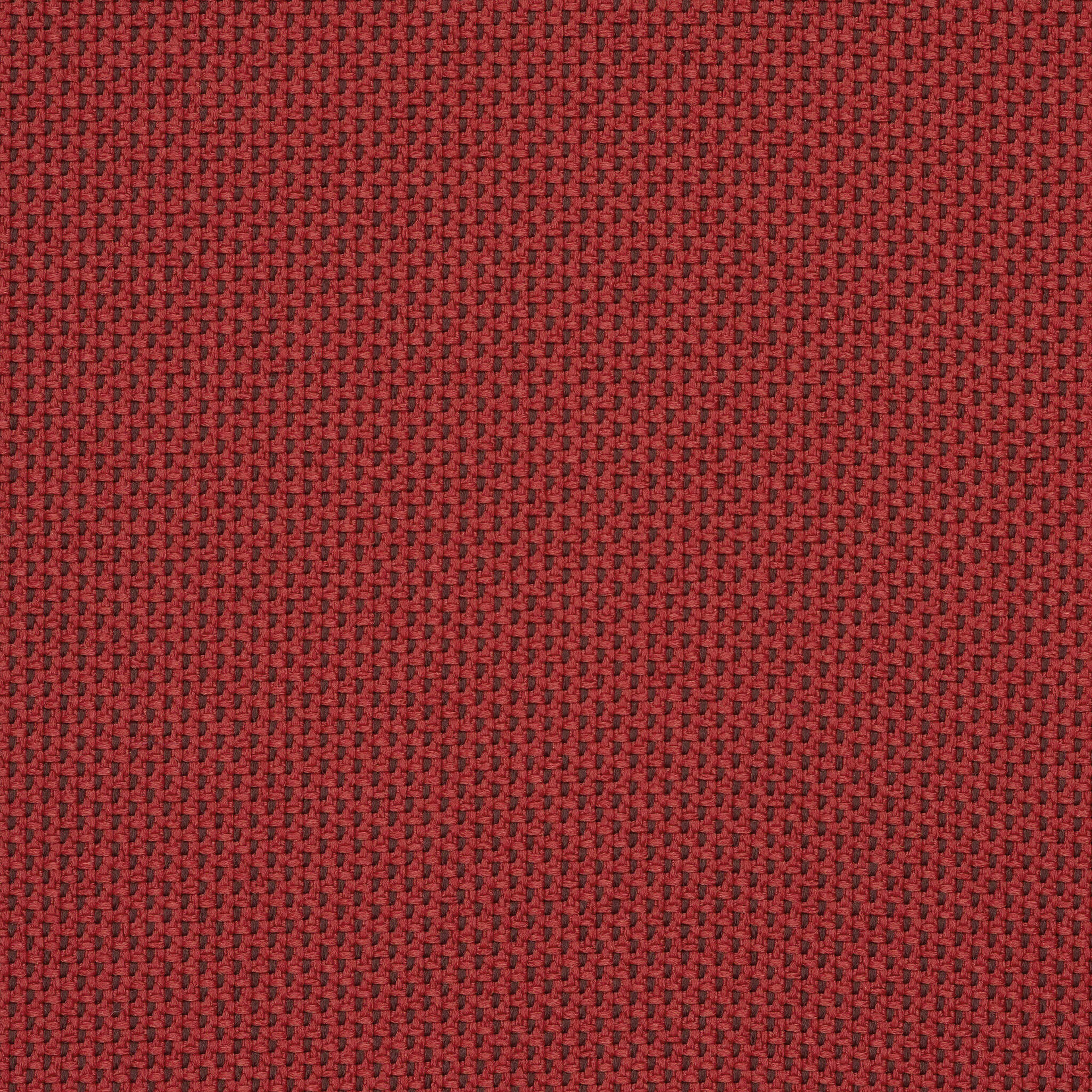 Camira_REP22