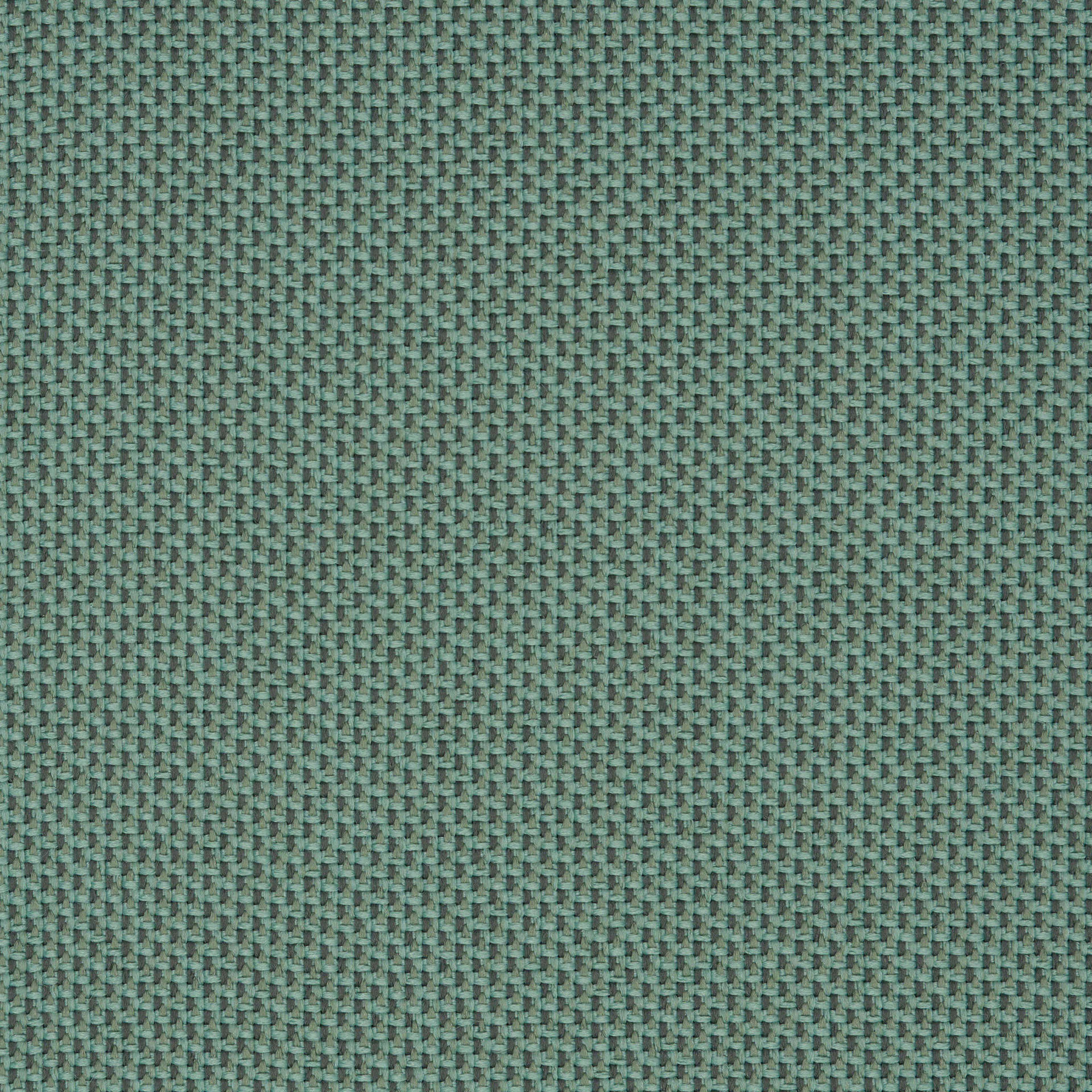 Camira_REP07