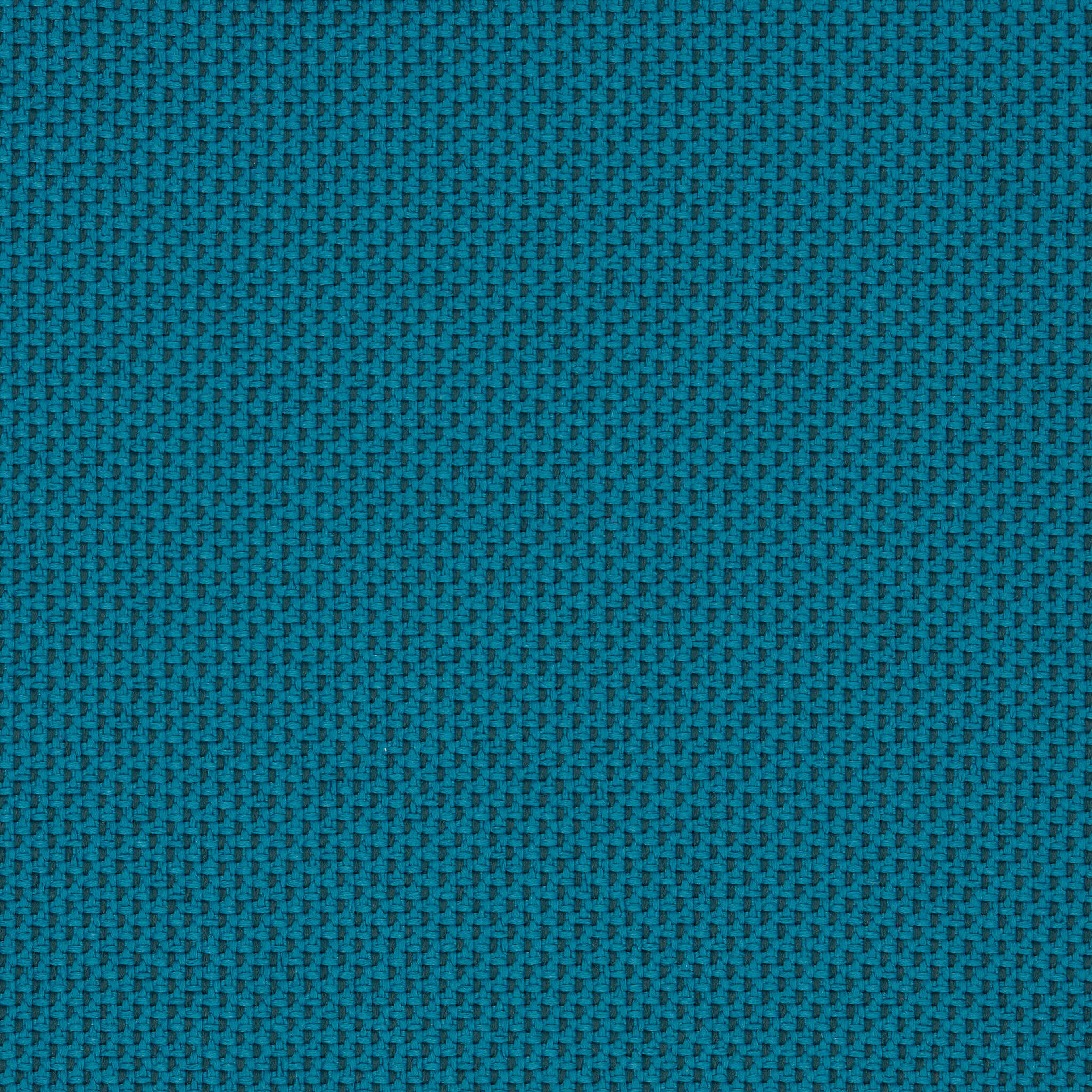 Camira_REP06