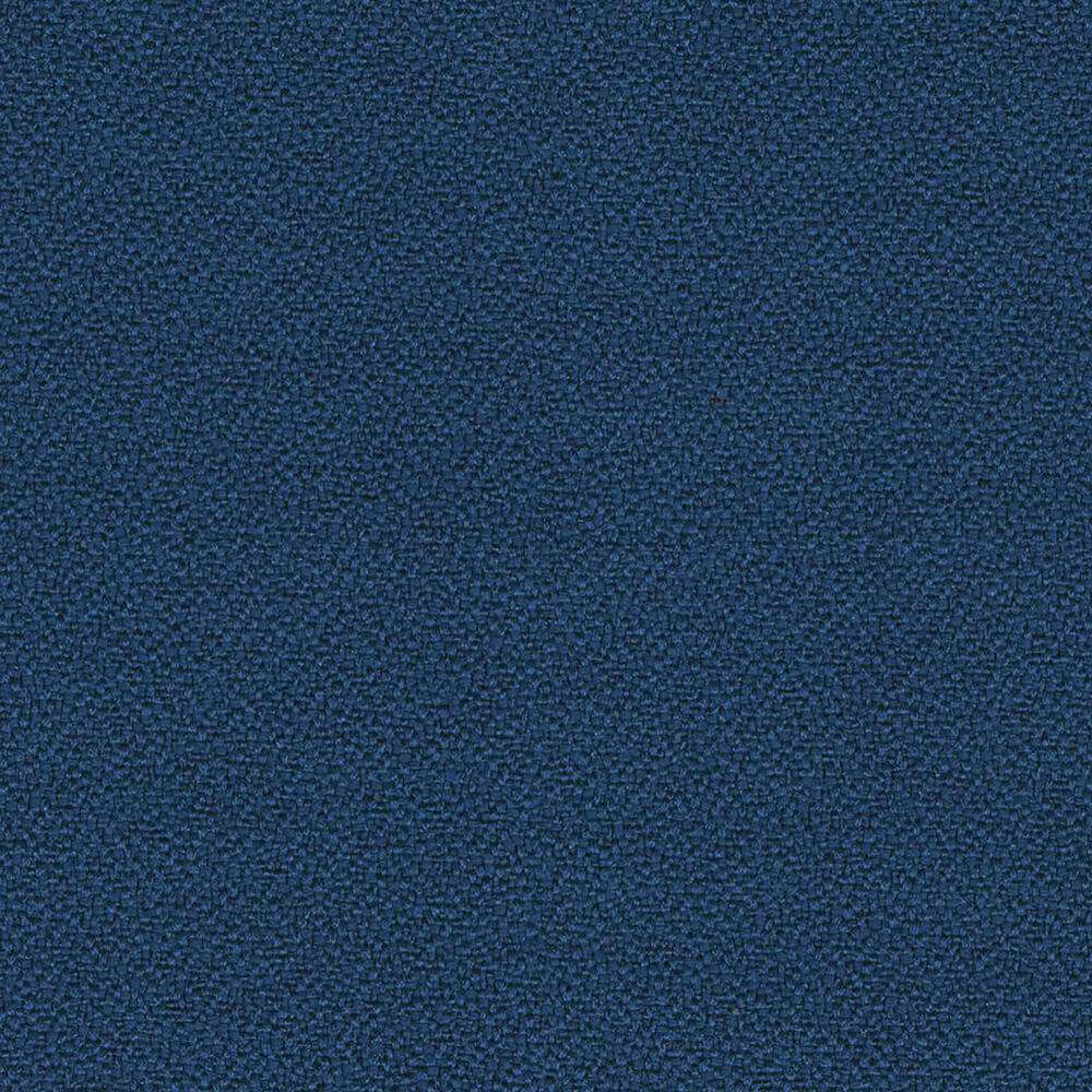YP005_WEB