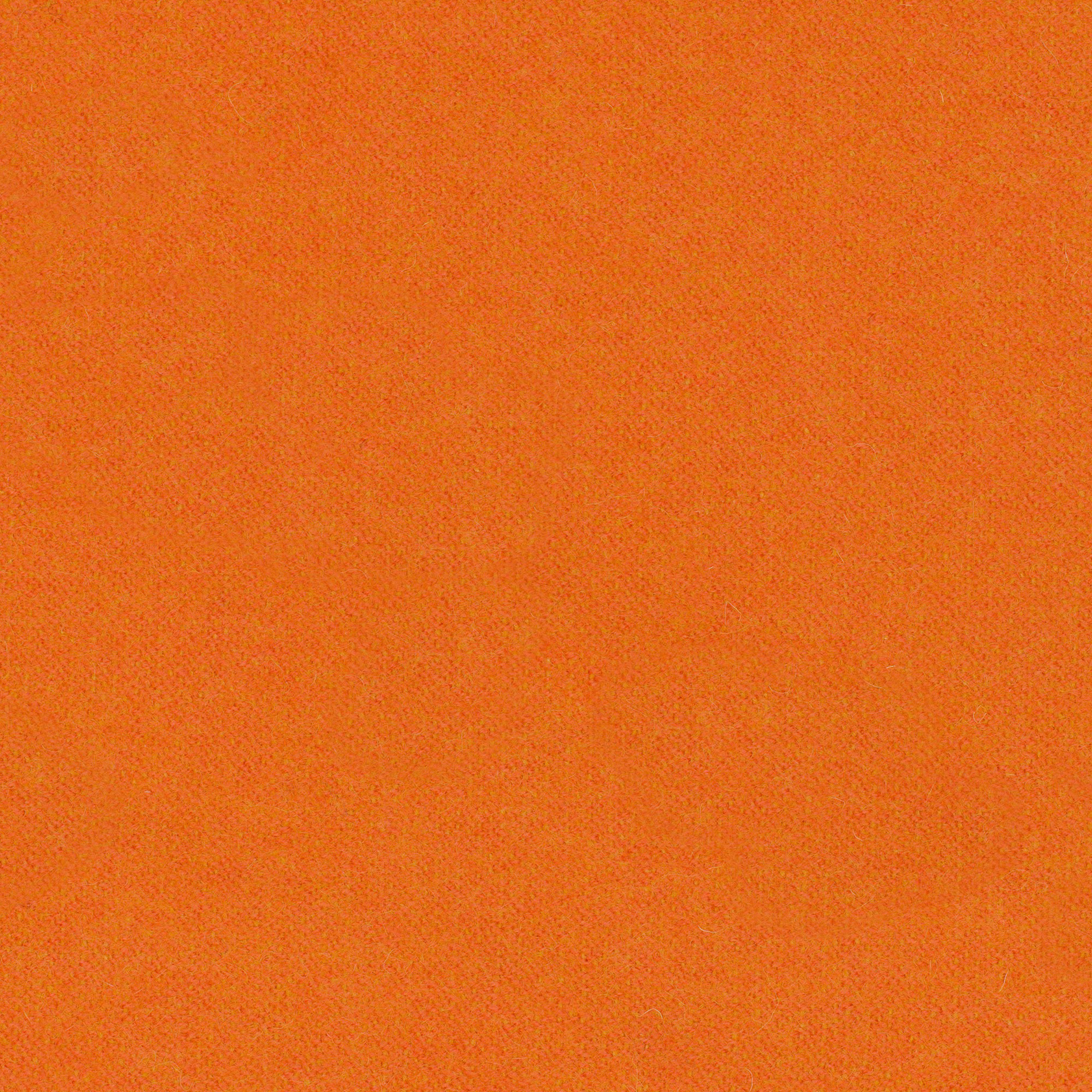 LDS82_WEB LDS82_WEB