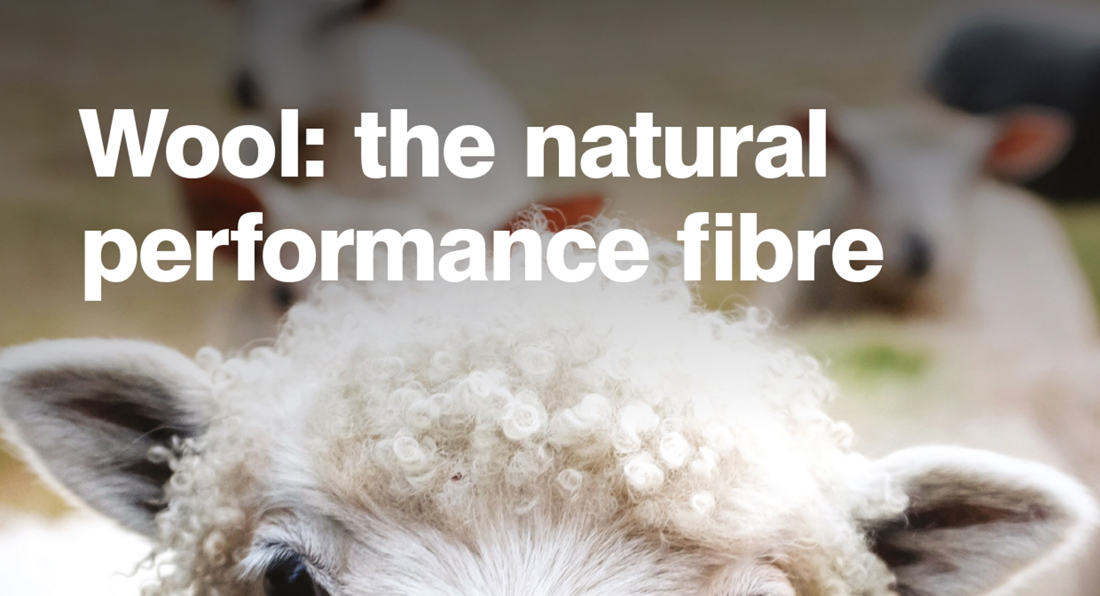 Wool Brochure.