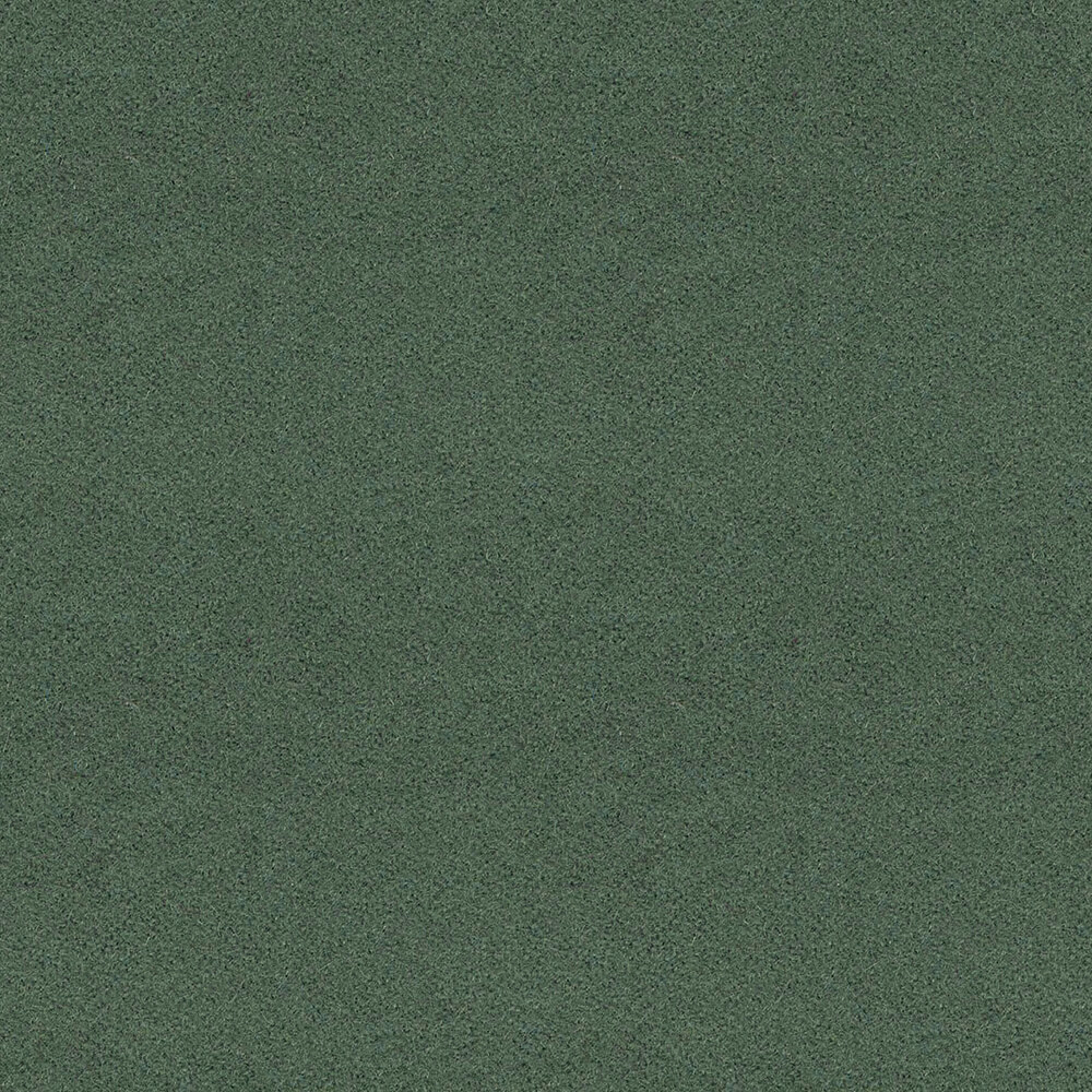 LDP49_WEB