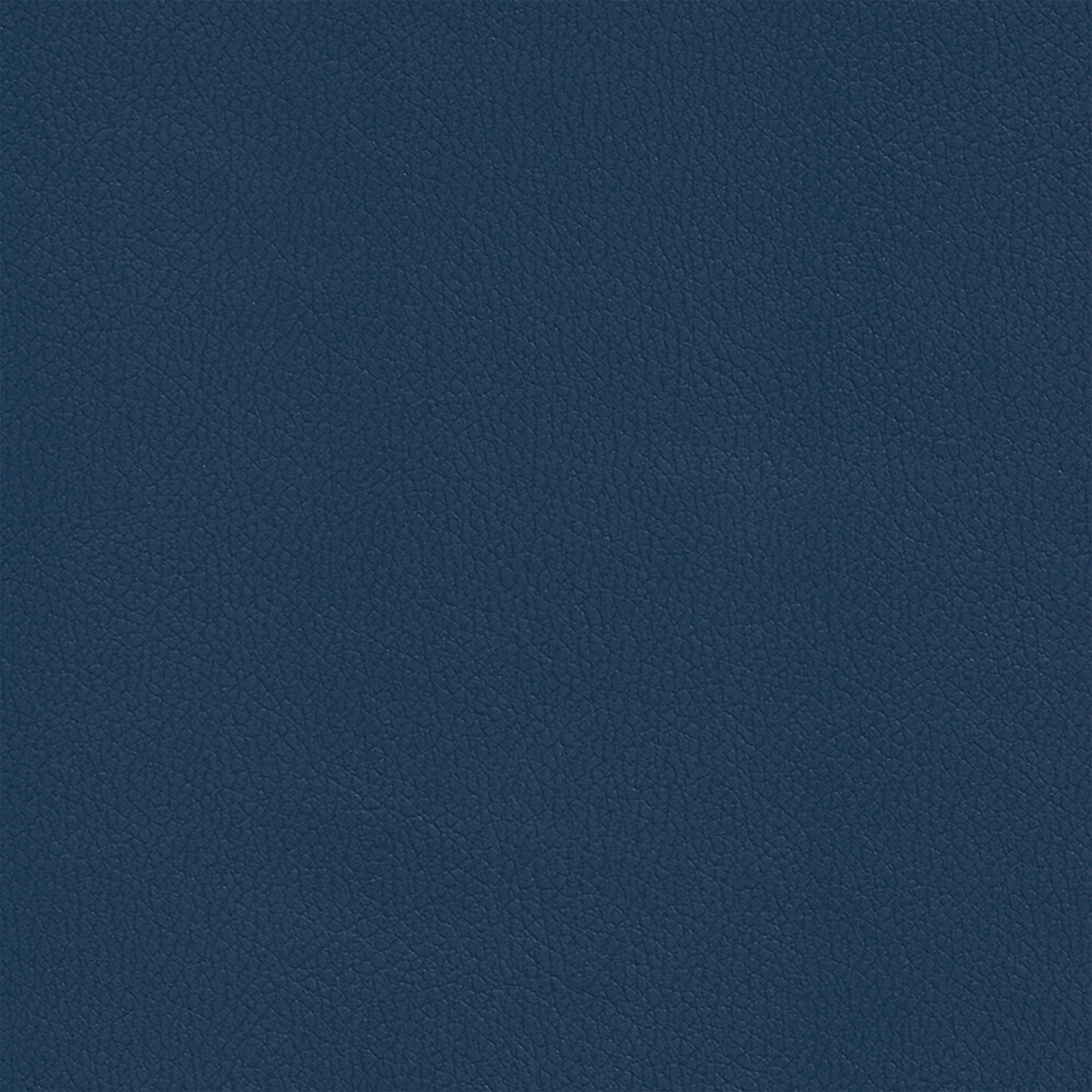 RAP02_WEB