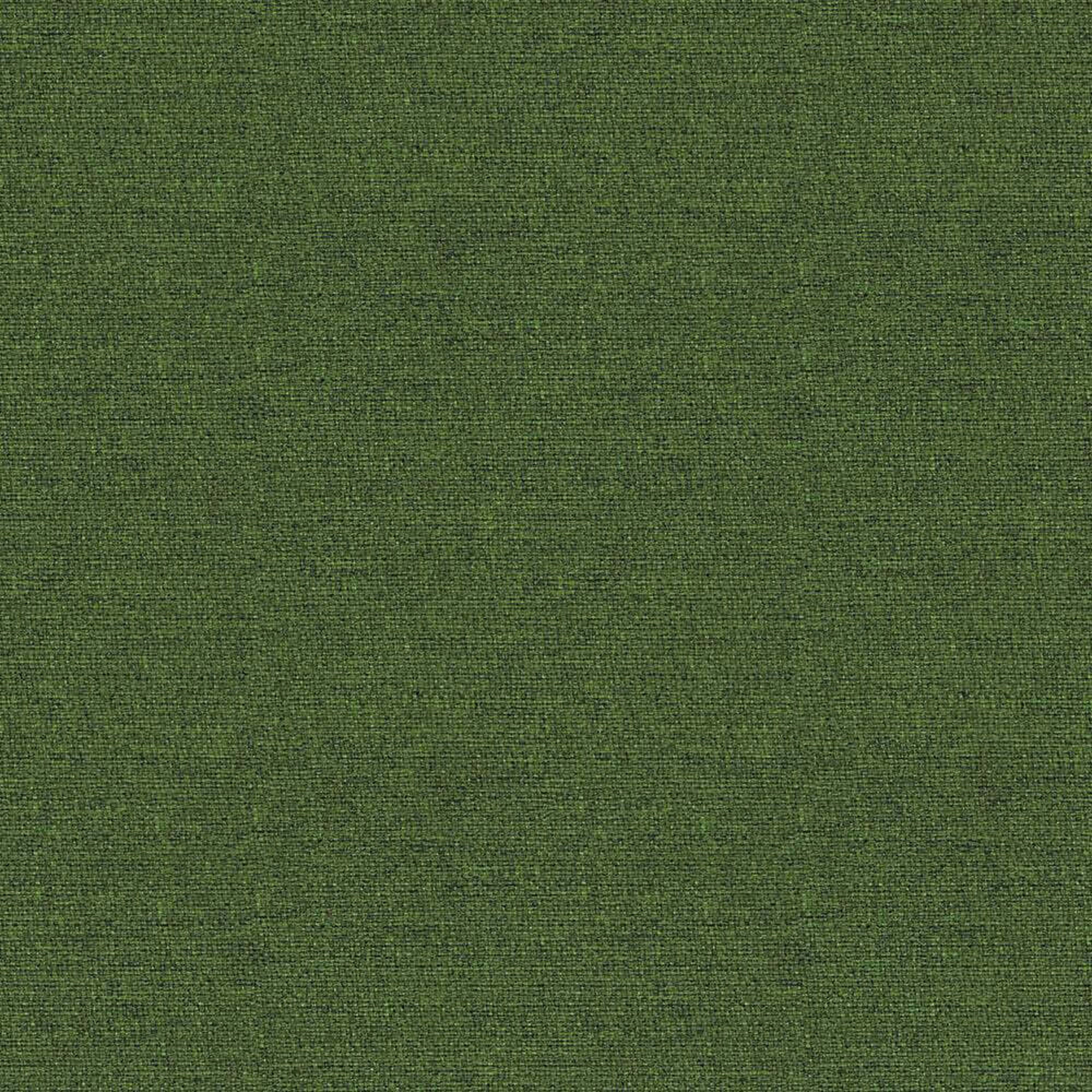 ACT18_WEB ACT18_WEB