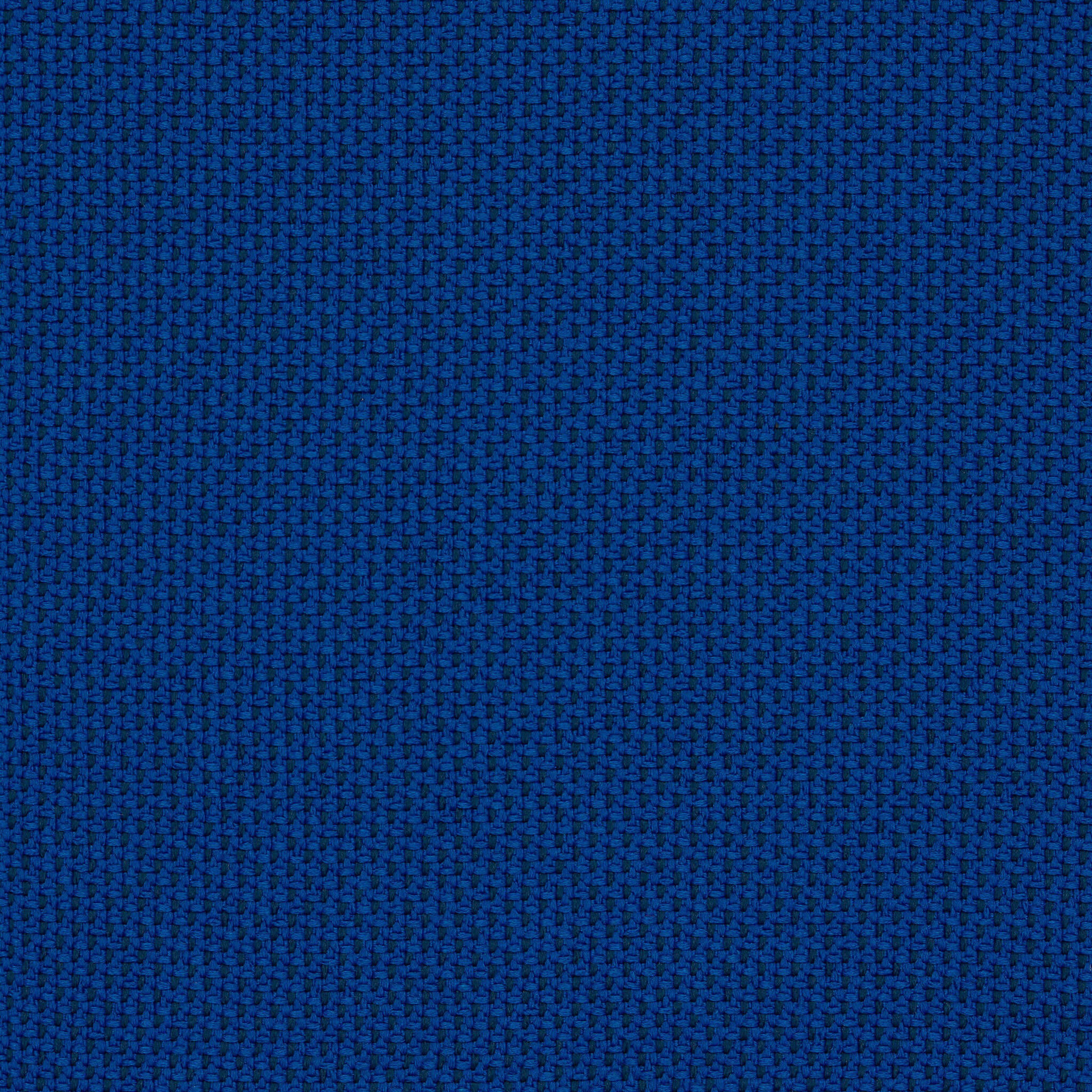 Camira_REP05
