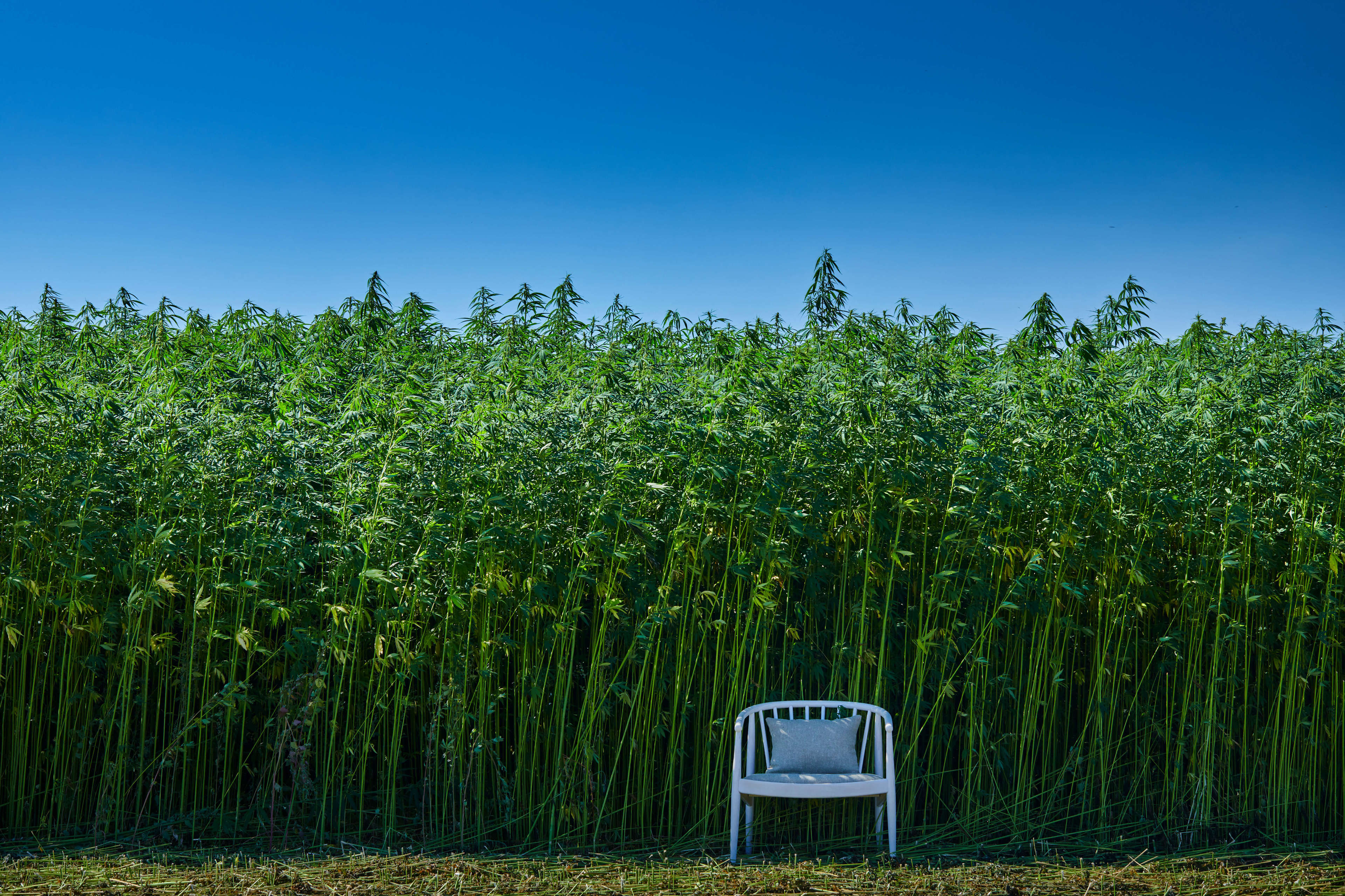 Hemp Chair Hero