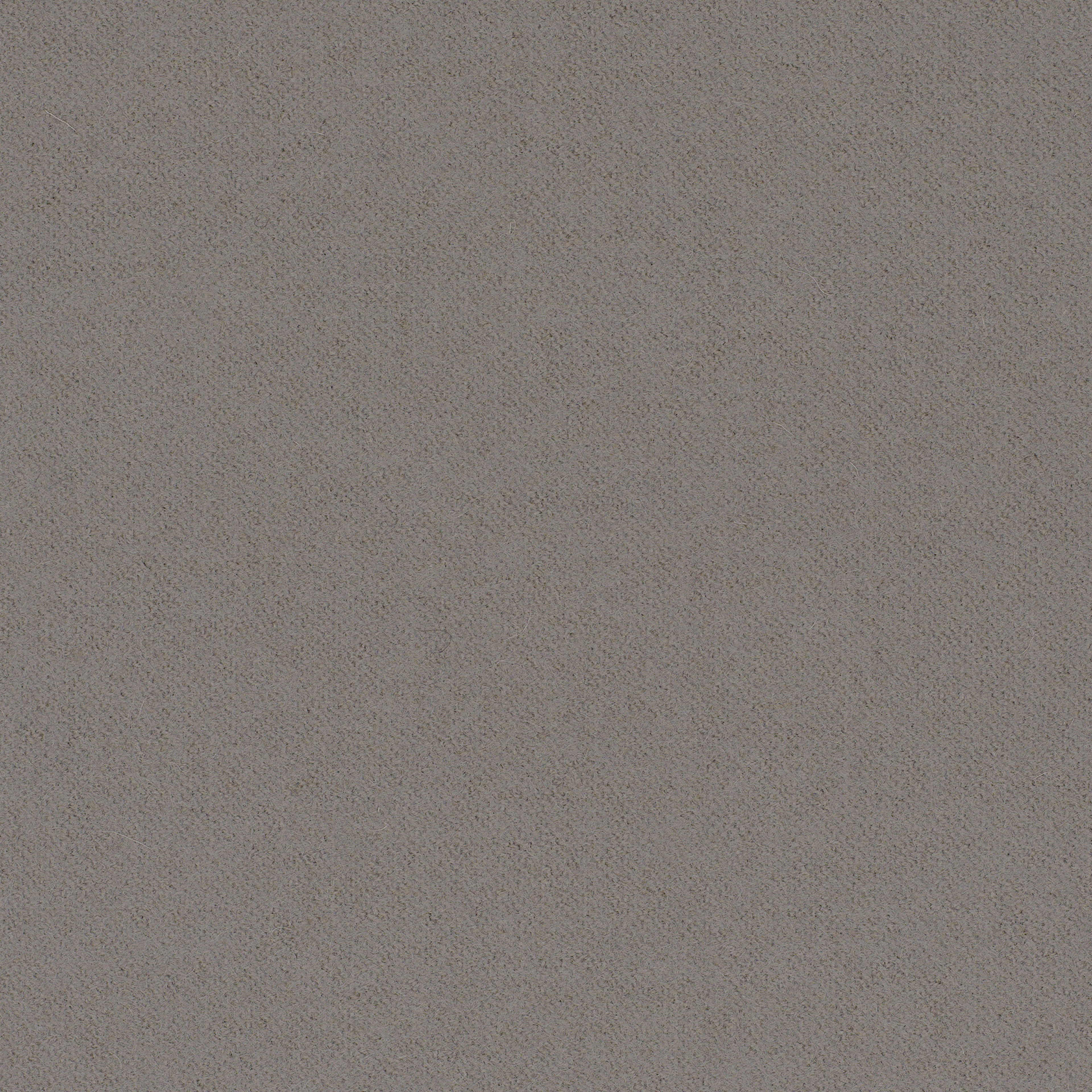LDS31_WEB LDS31_WEB