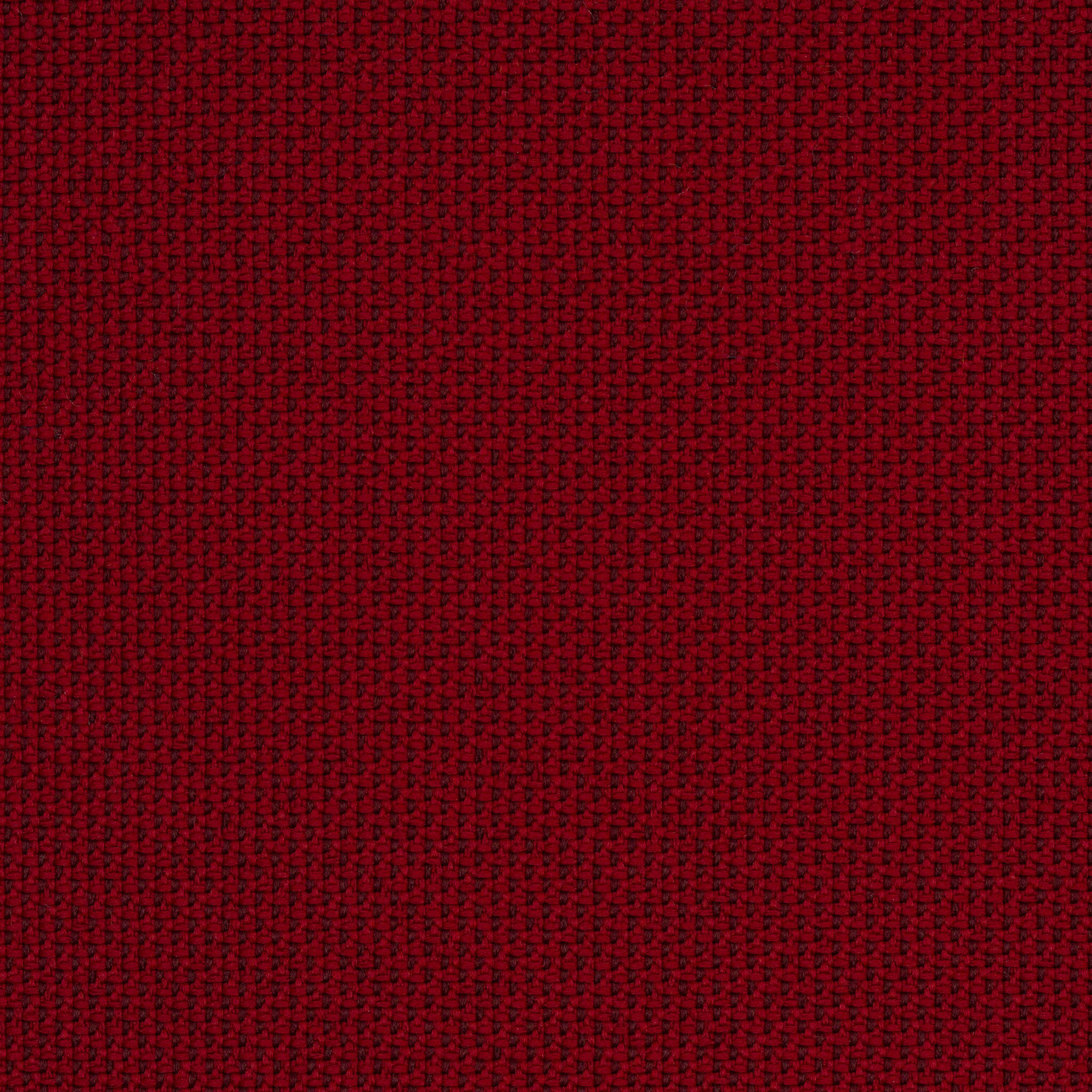 Camira_REP24