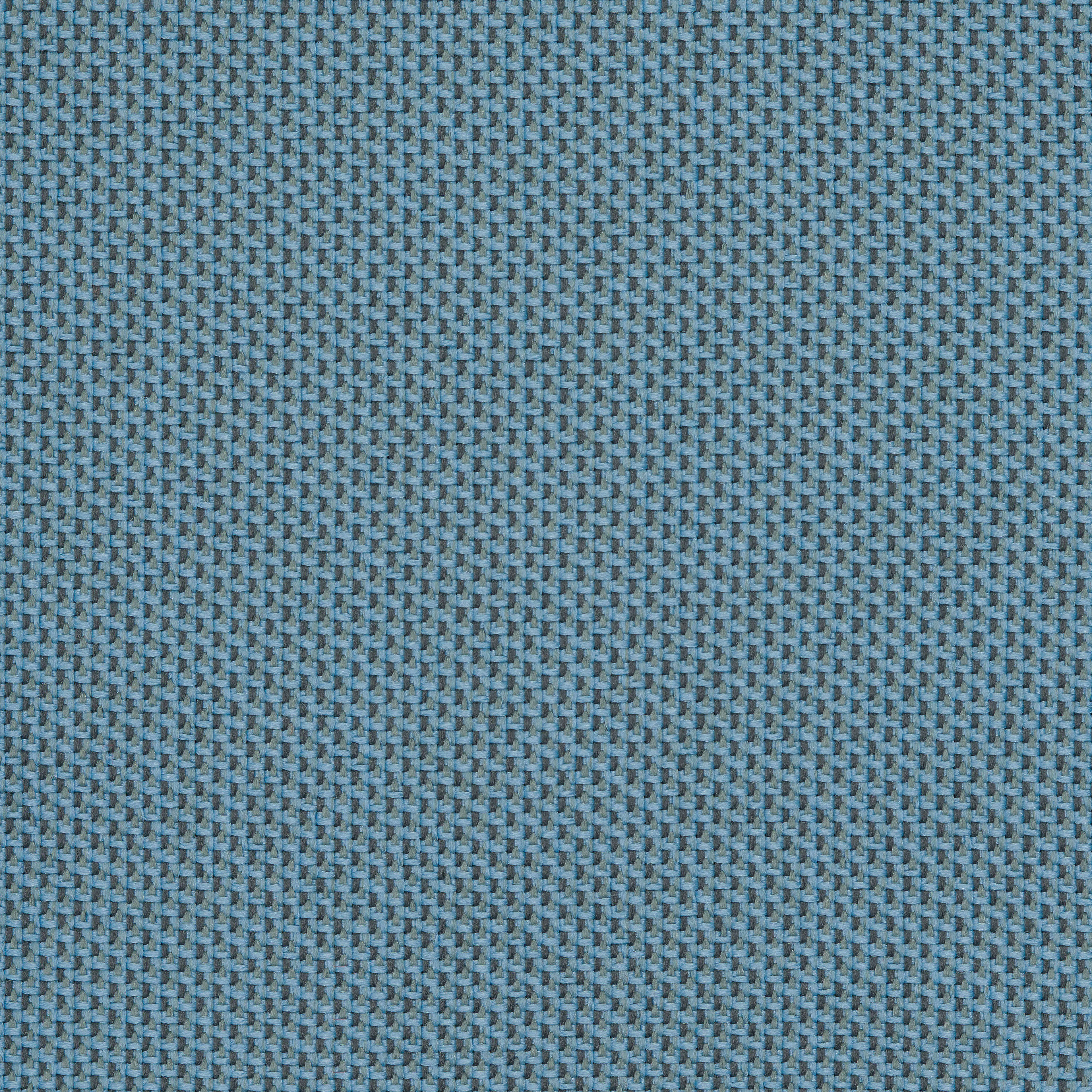 Camira_REP01