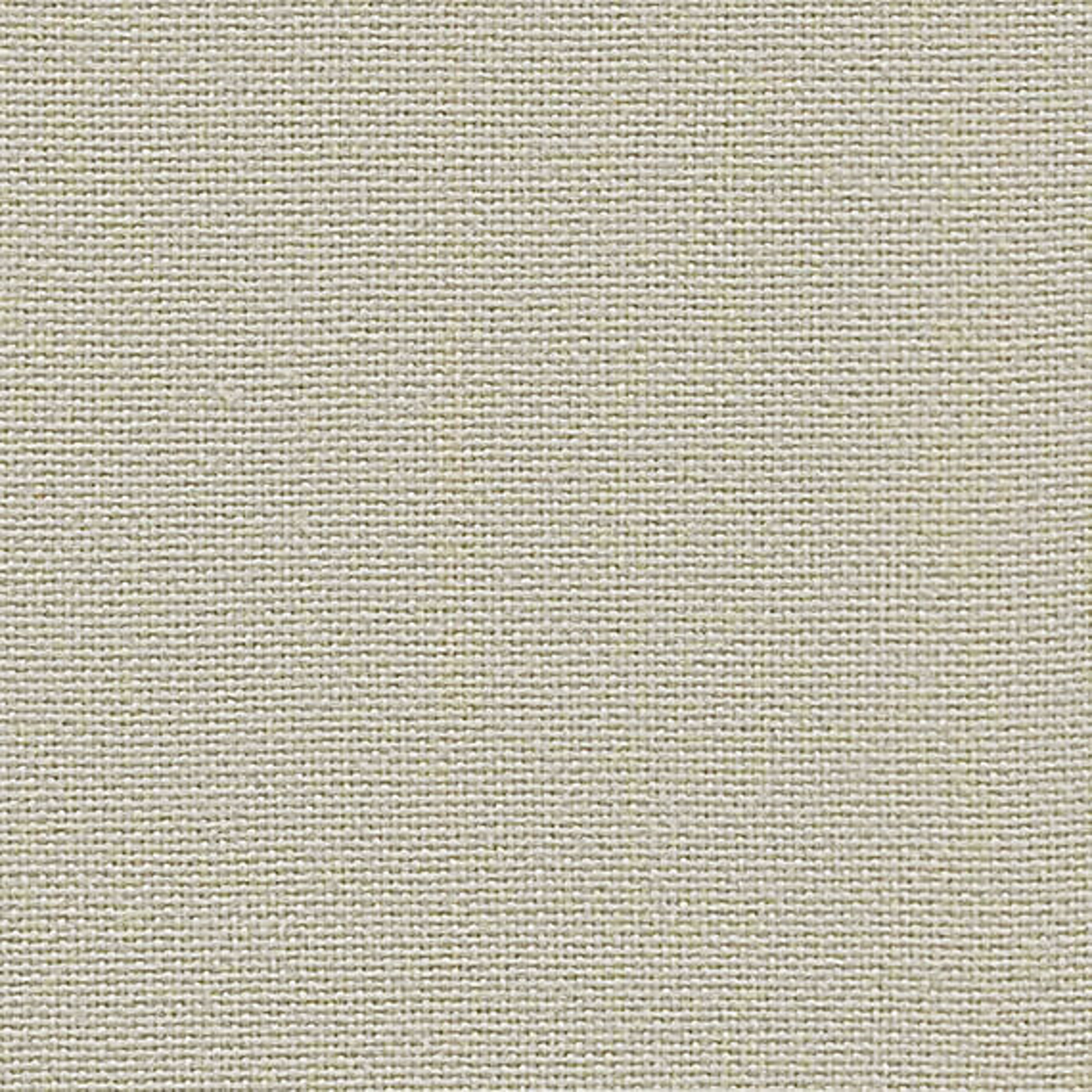 CLW24_WEB