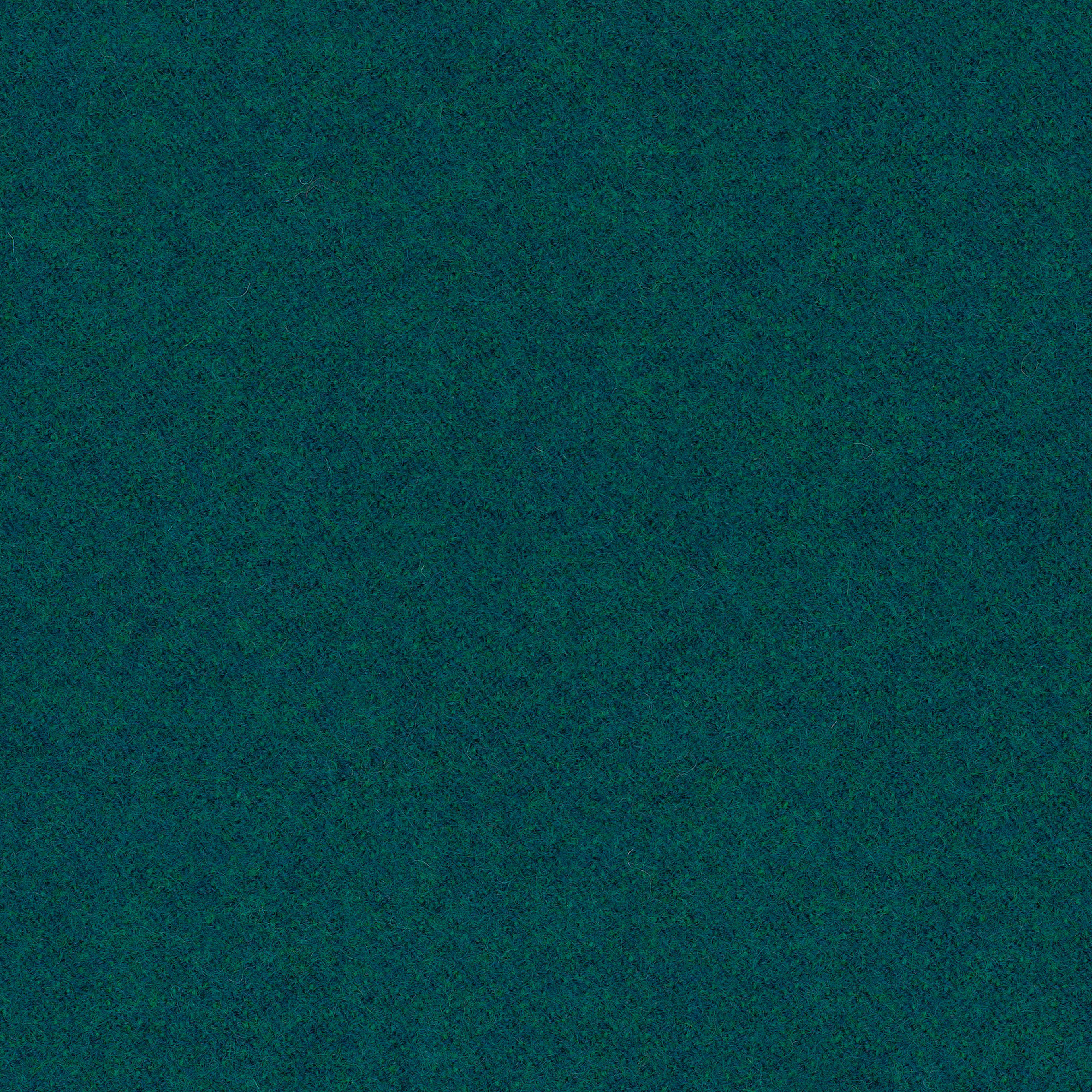 LDS50_WEB LDS50_WEB