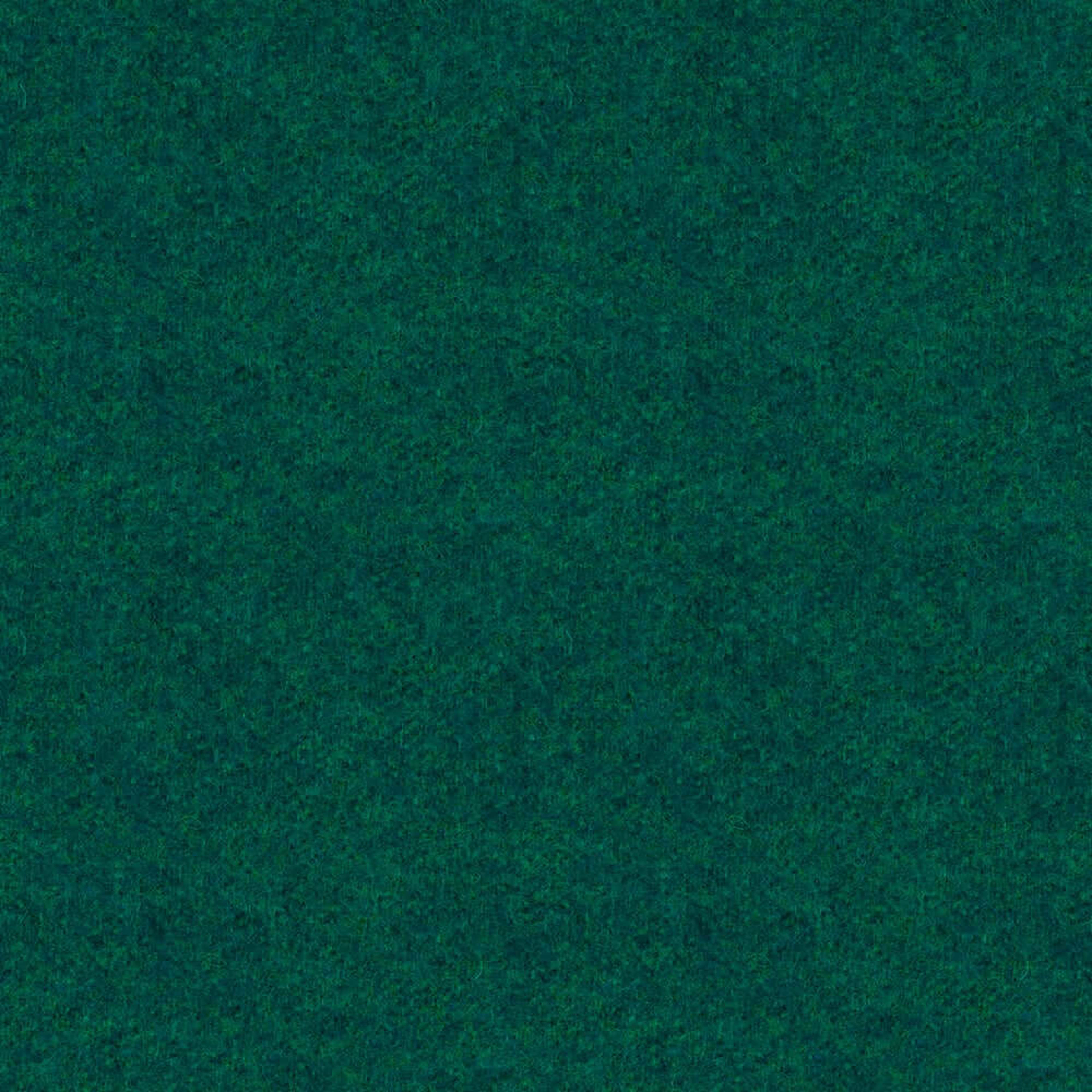 LDS50_WEB
