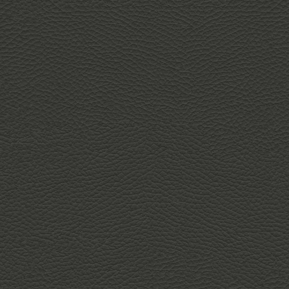 VAC08_WEB
