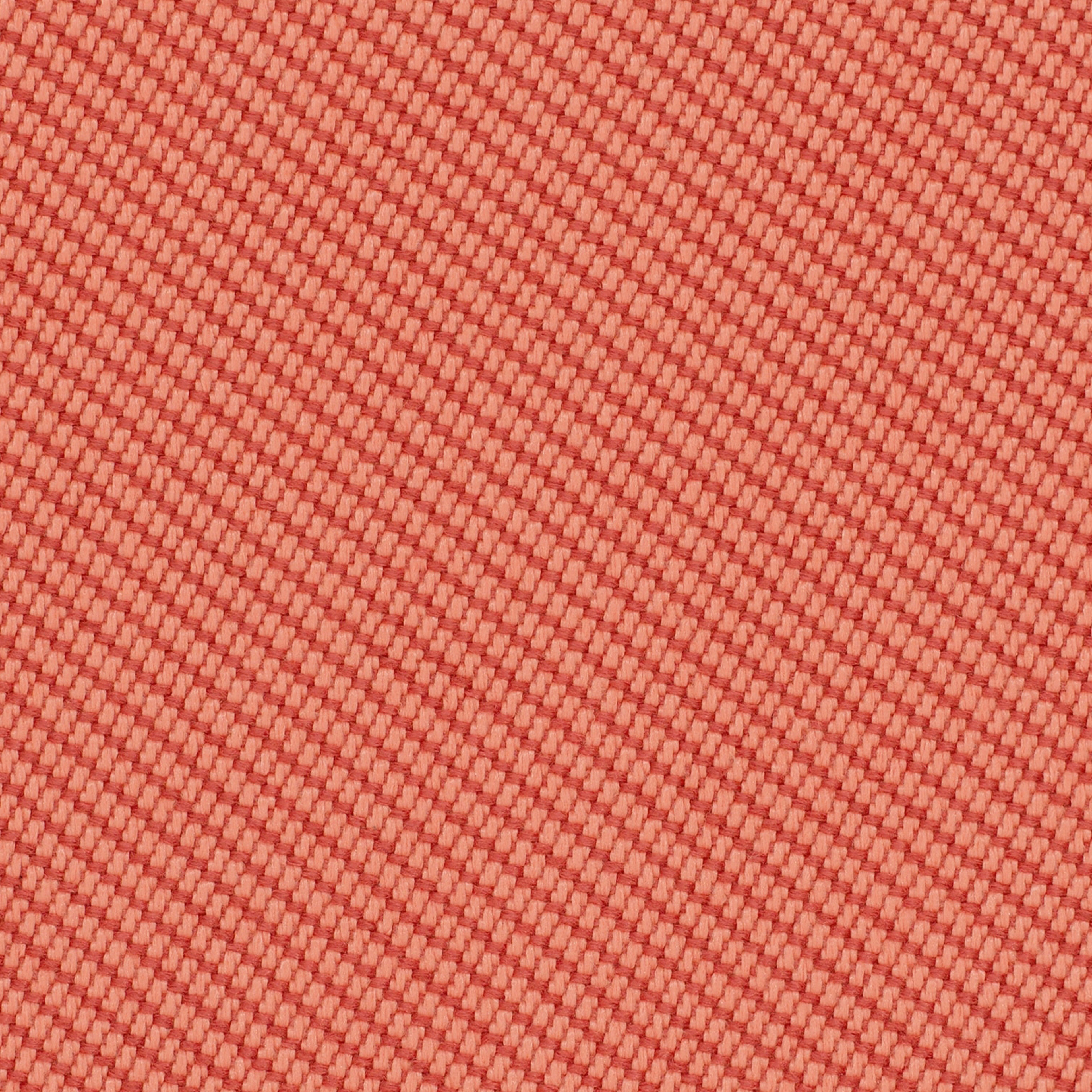 OOC05 Coral