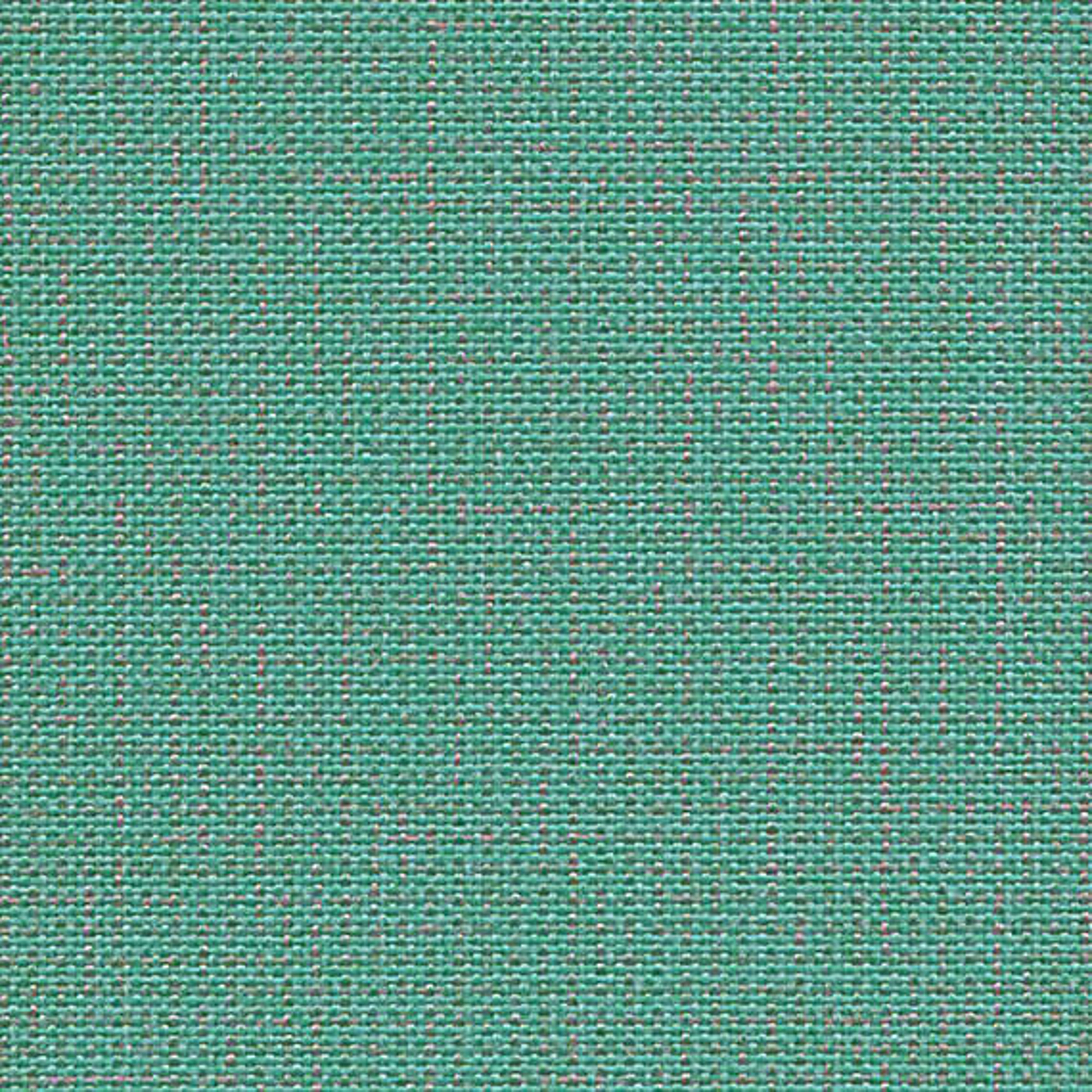 CLW16_WEB