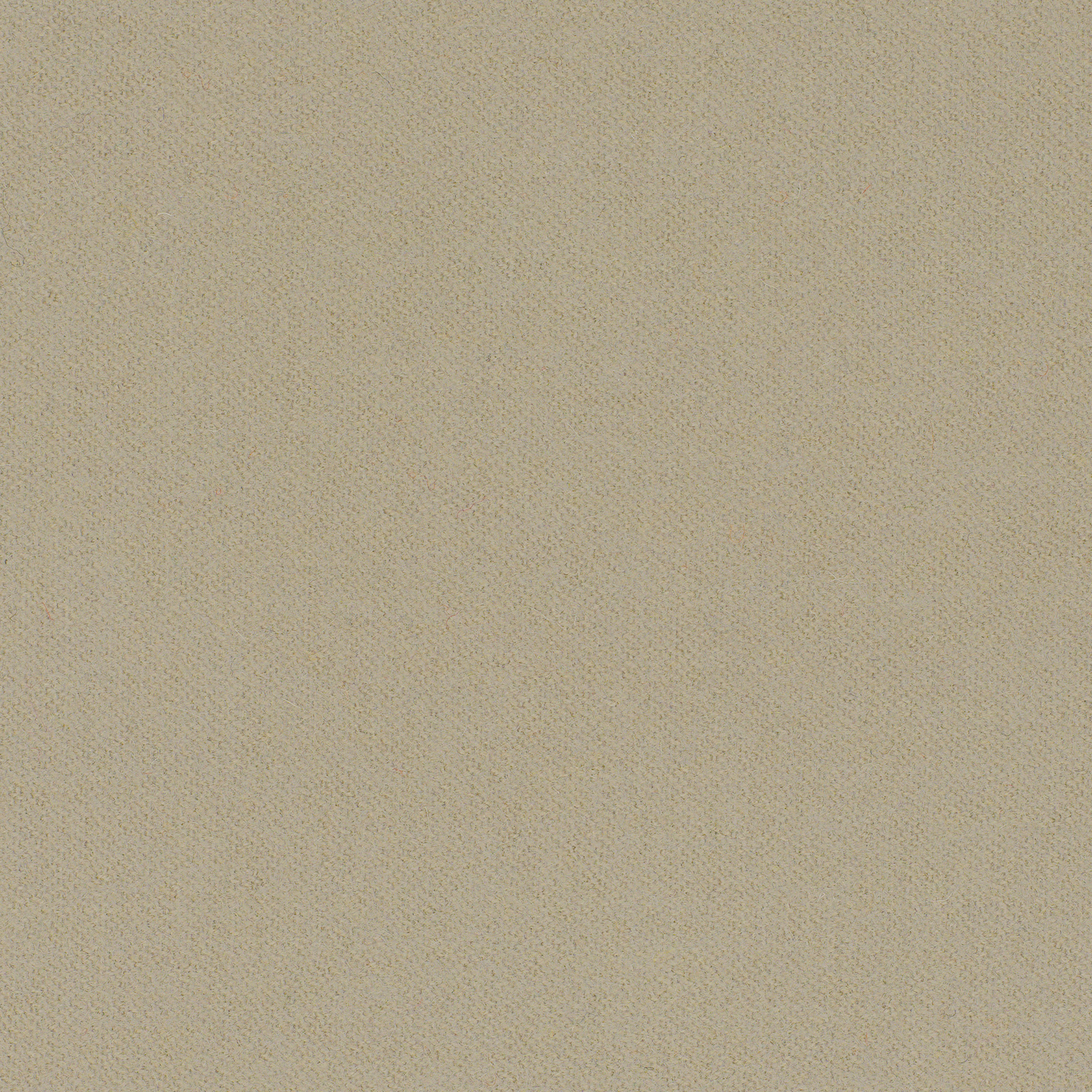 LDS19_WEB LDS19_WEB