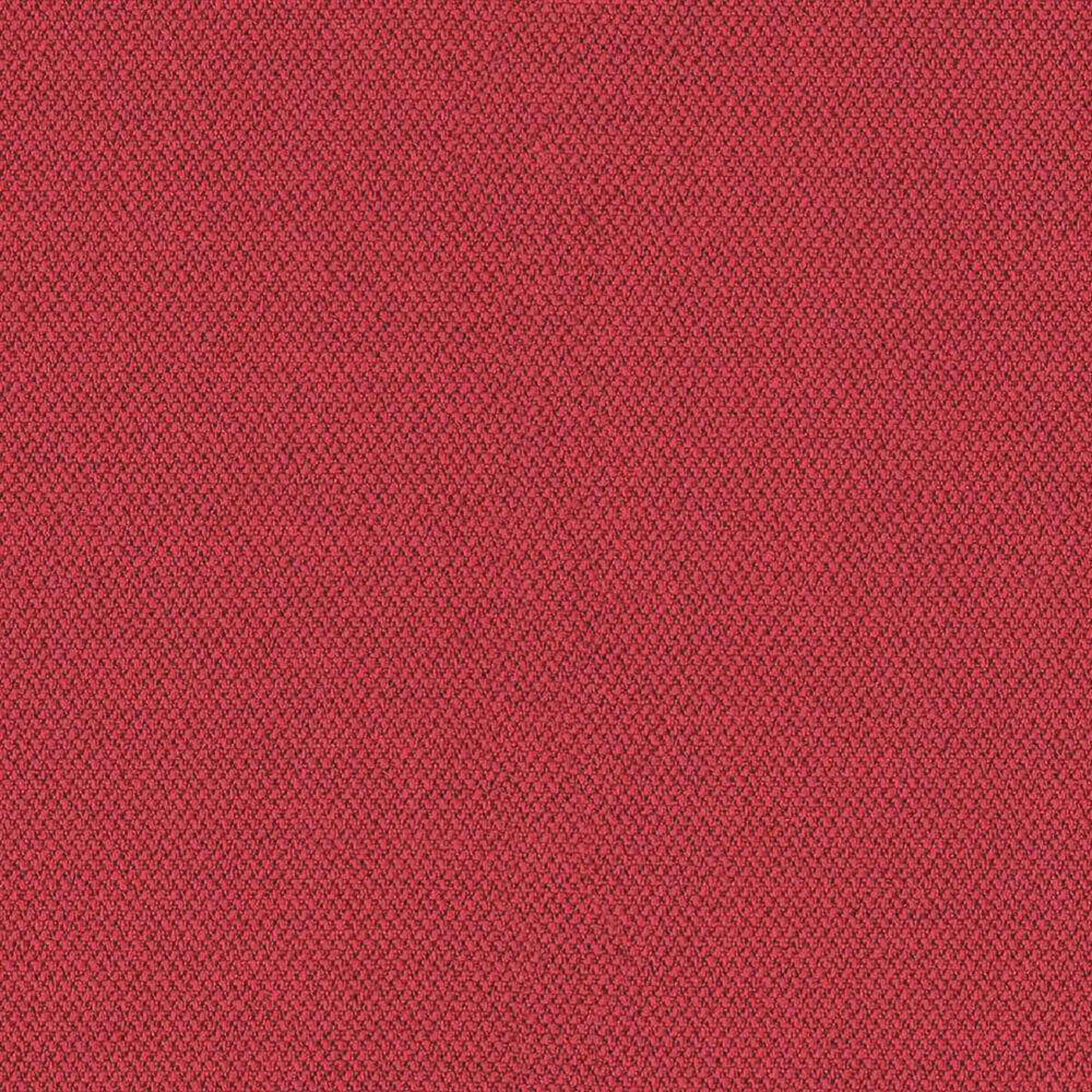 CSE06_WEB
