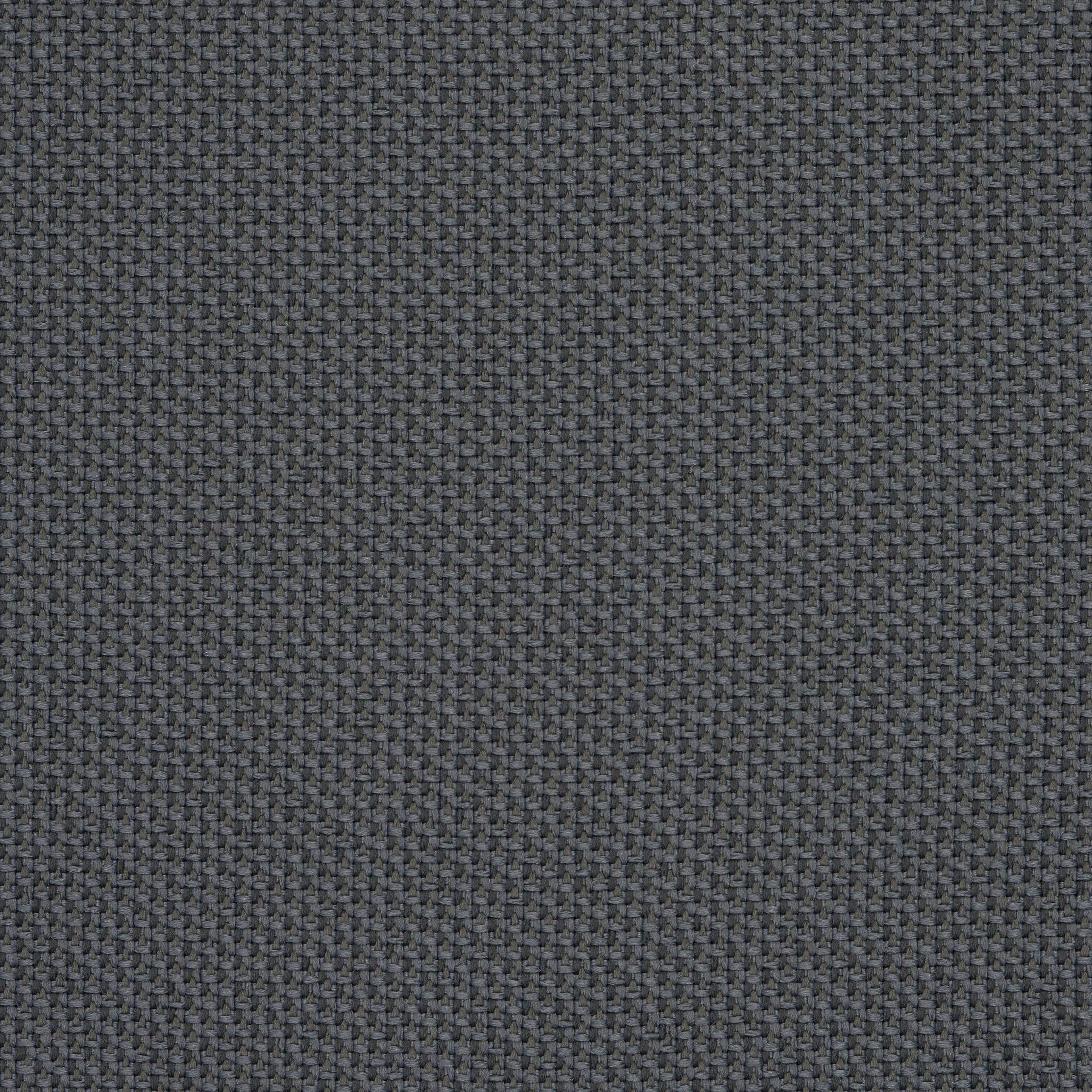Camira_REP29