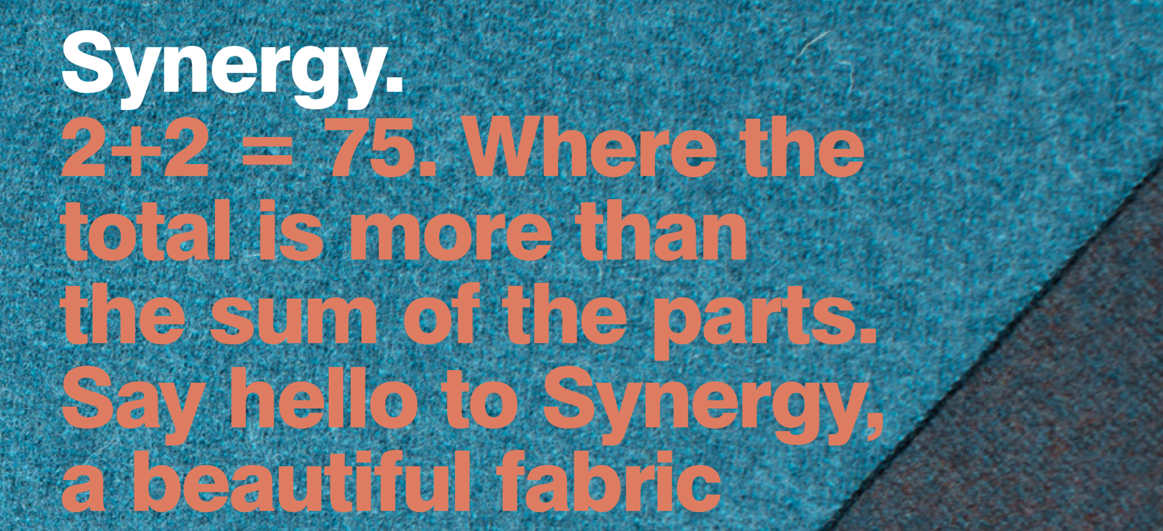 Synergy Brochure