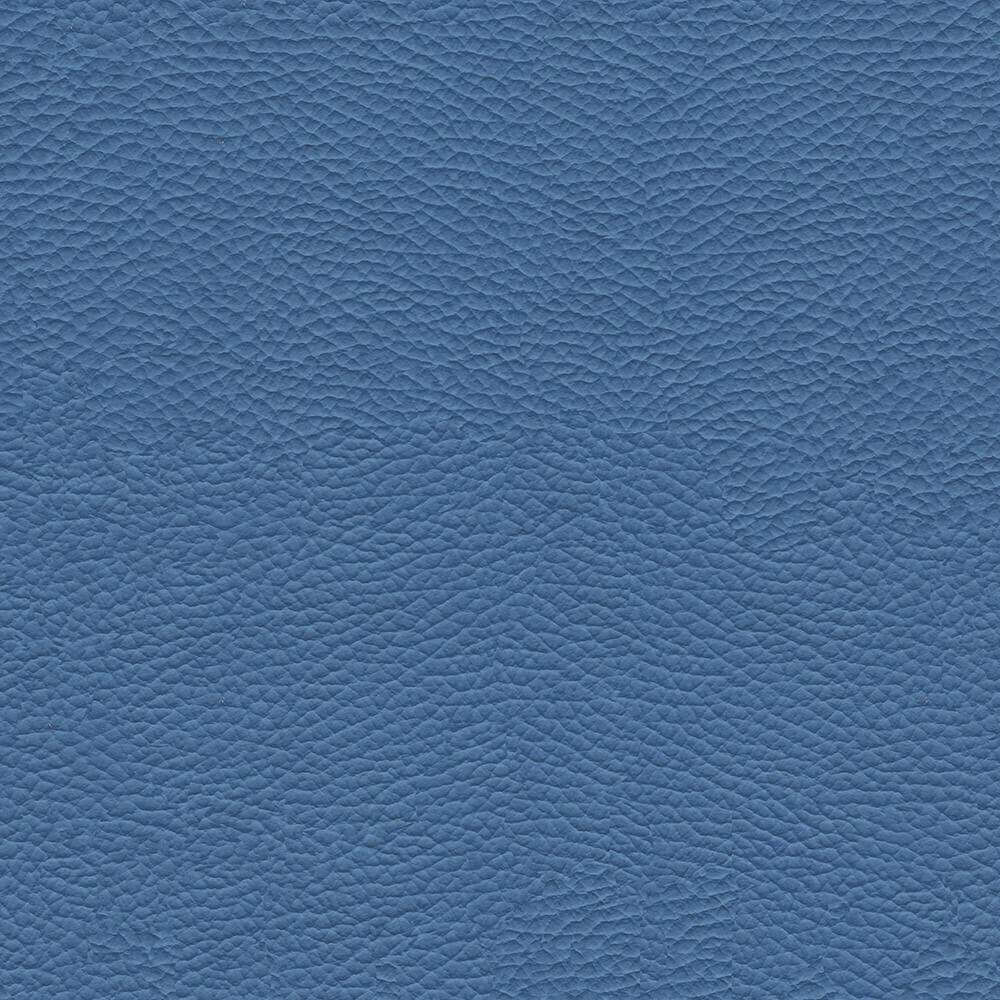 VAC33_WEB