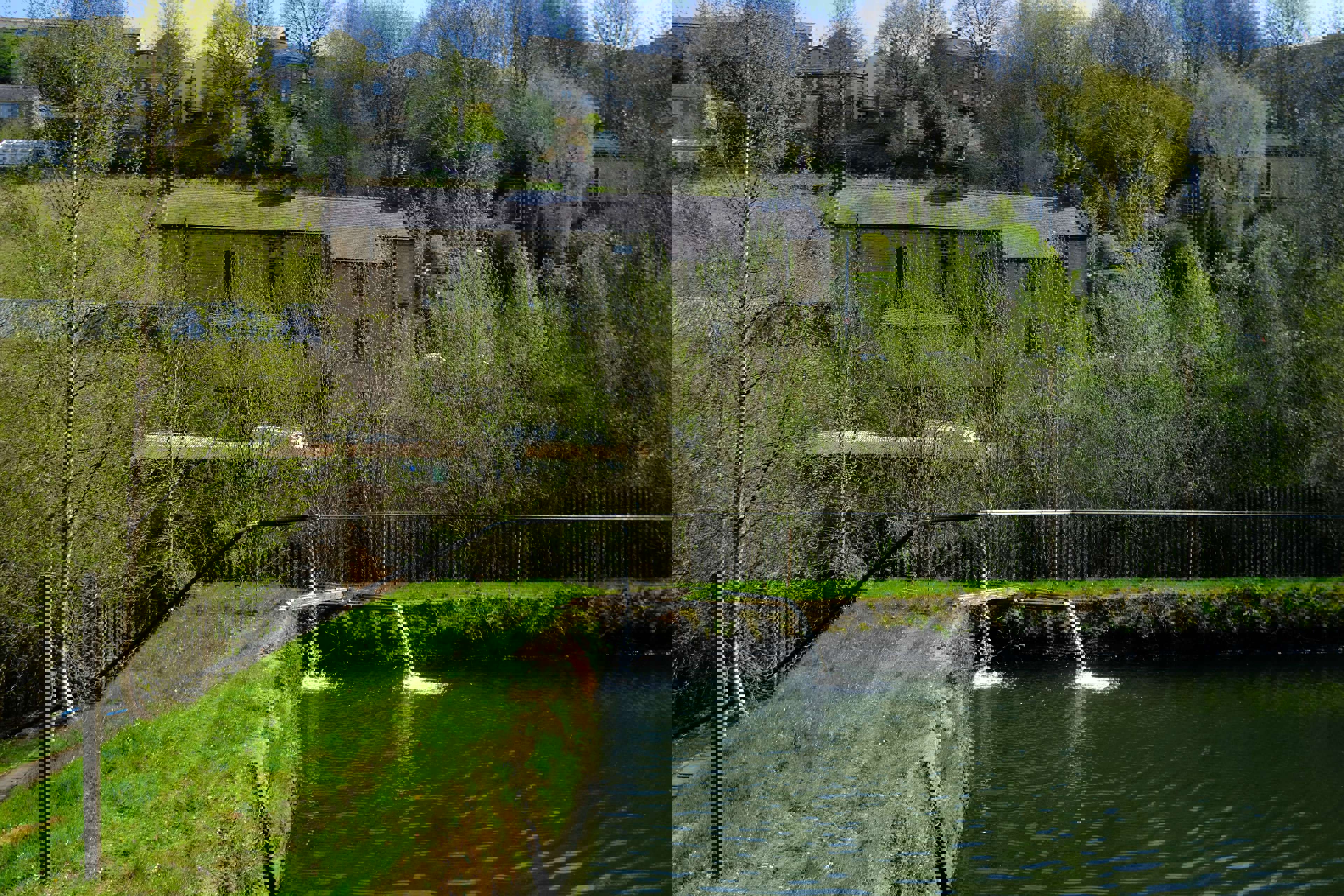 DSCF3096