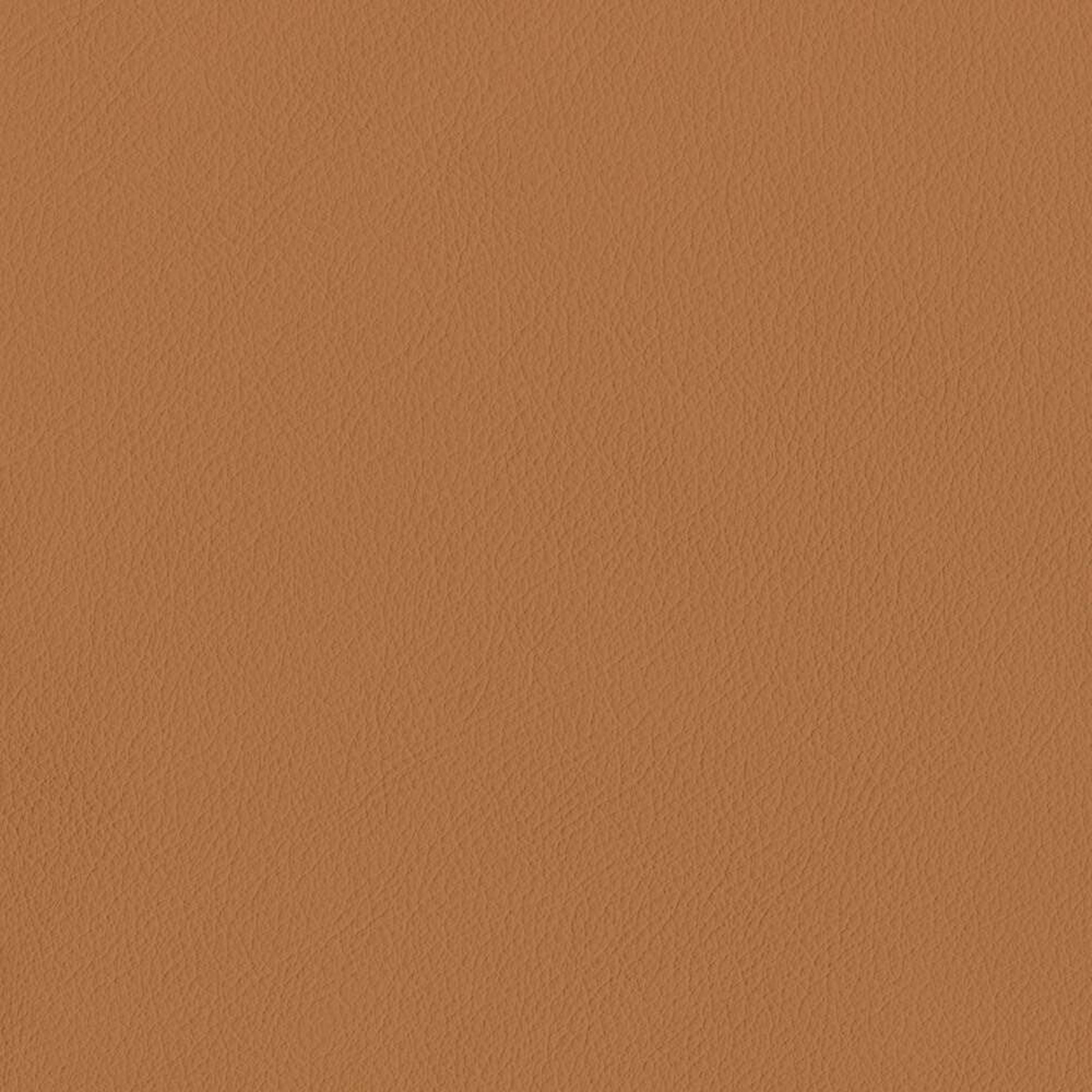 VIN10_WEB VIN10_WEB