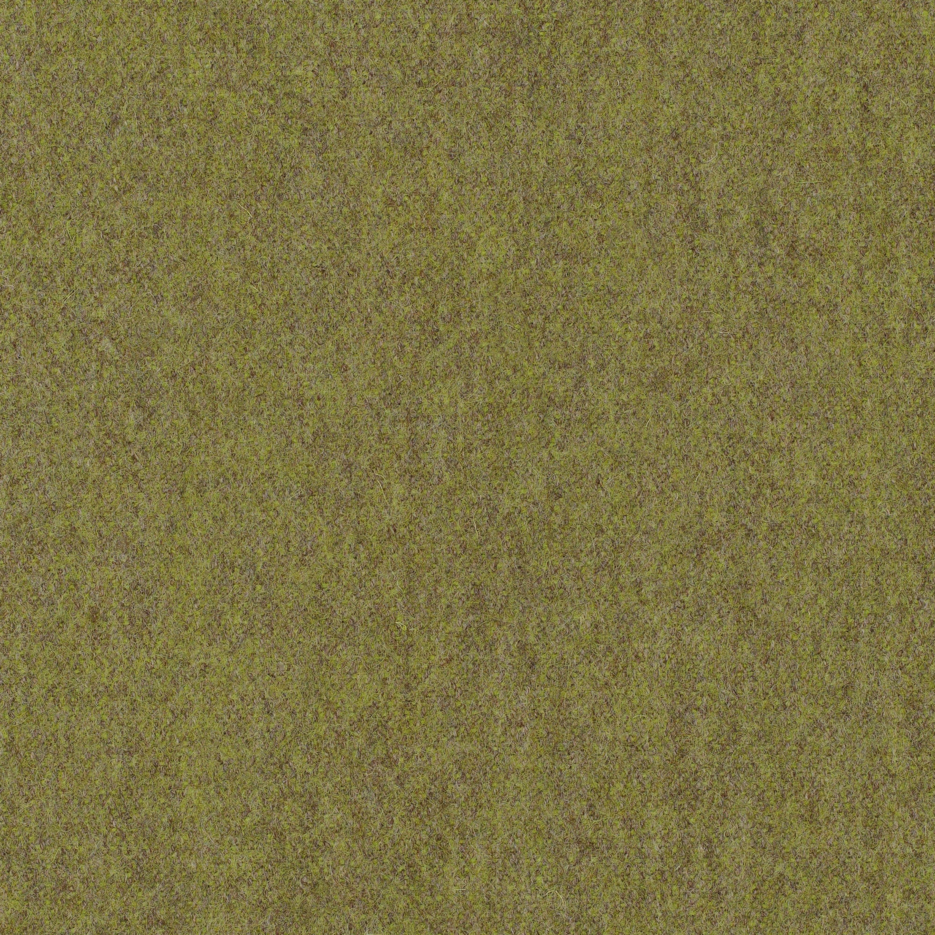 LDS48_WEB LDS48_WEB