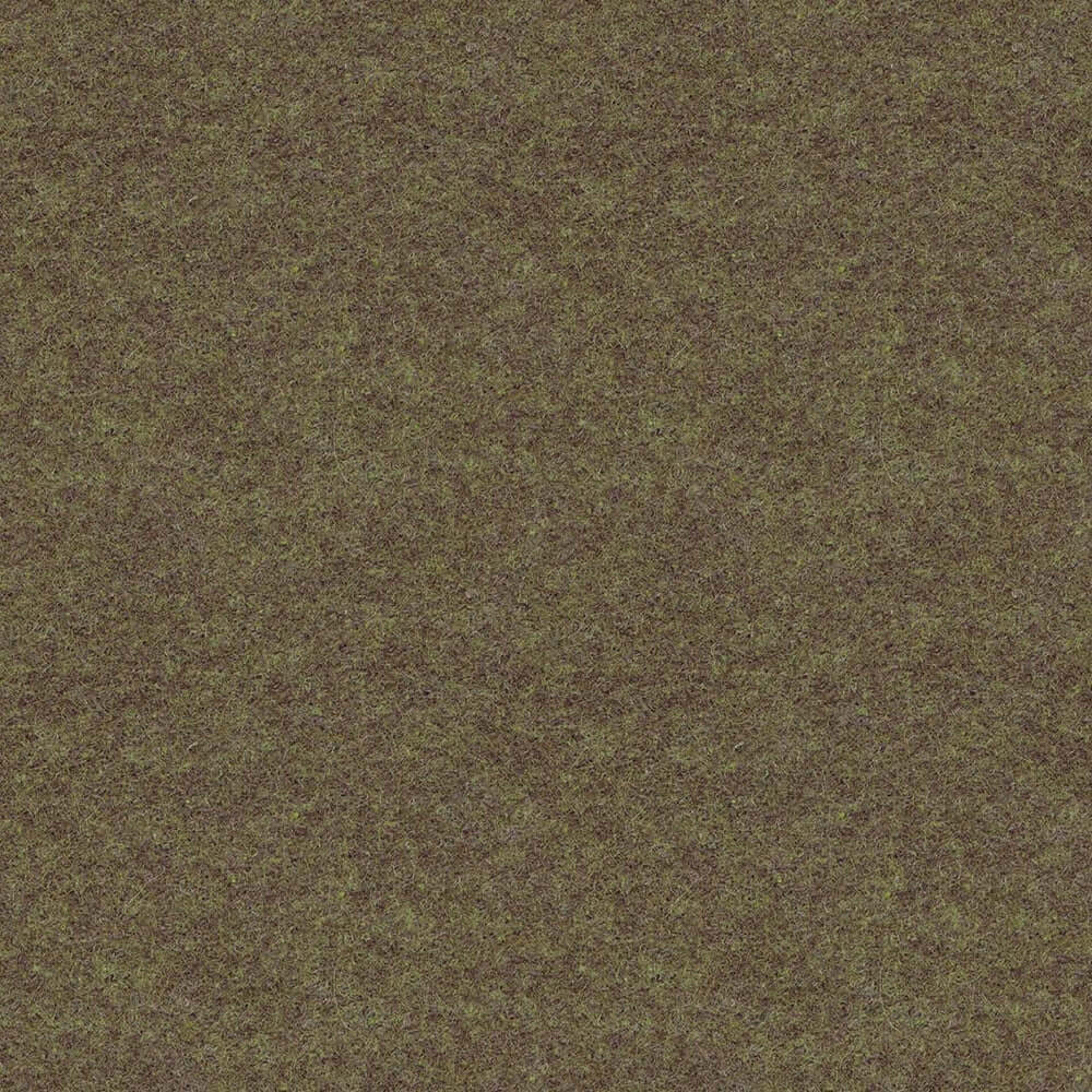 LDS48_WEB