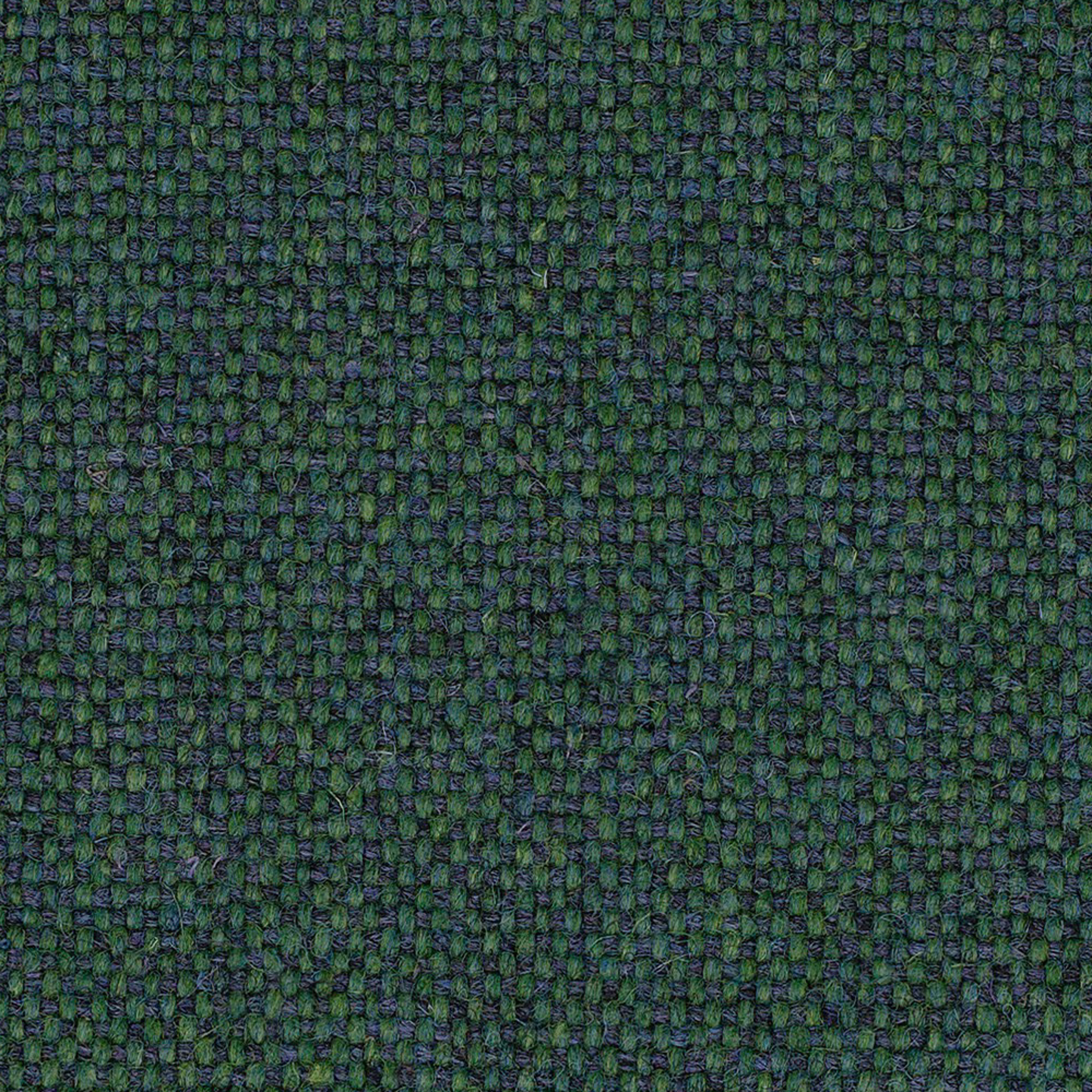 MLF32_WEB